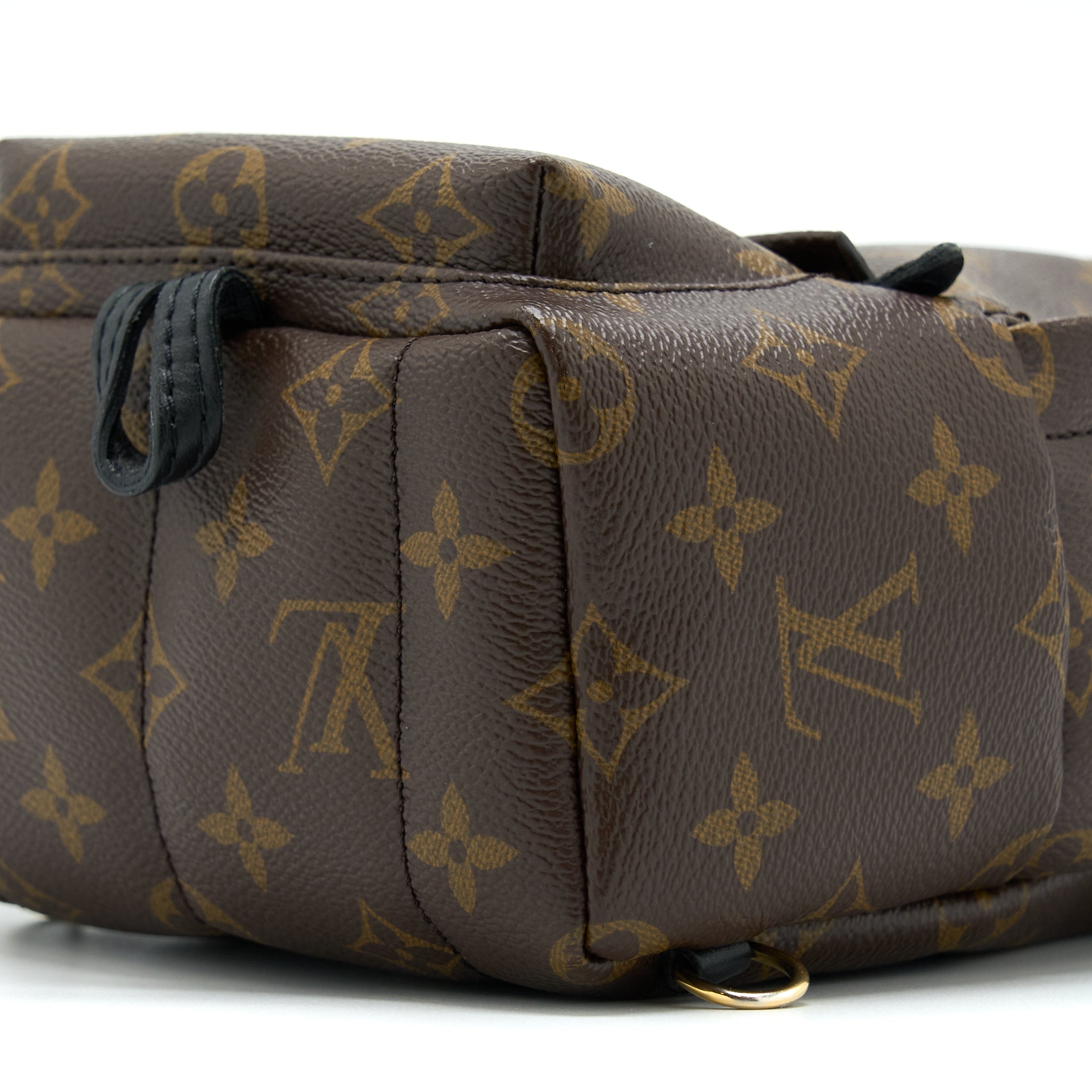 louis-vuitton-palm-spring-mini-backpack-monogram-canvas-ghw-2