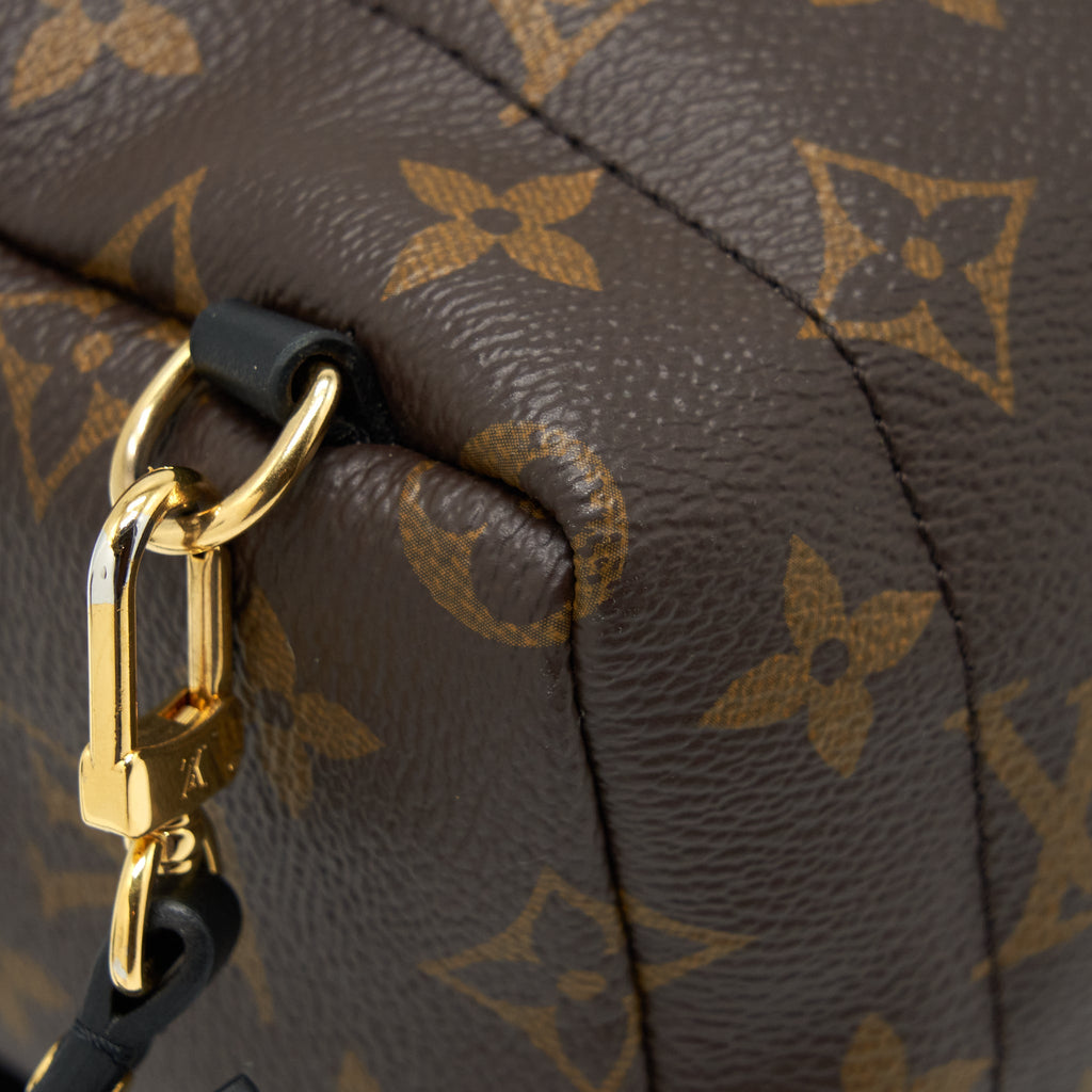 louis-vuitton-palm-spring-mini-backpack-monogram-canvas-year-2018
