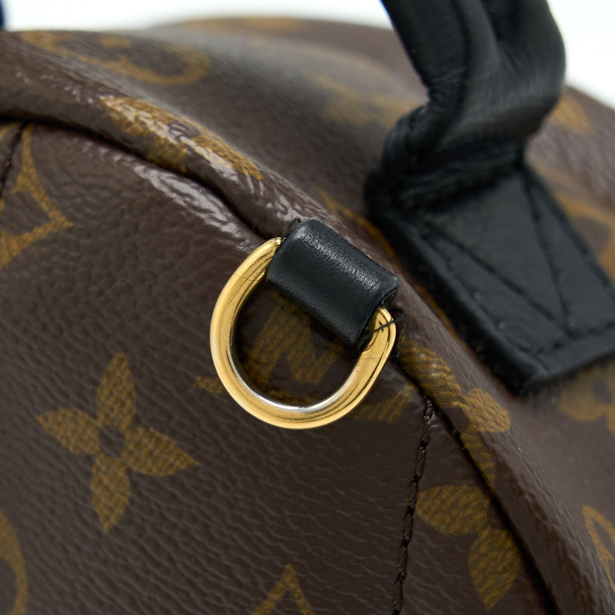 louis-vuitton-palm-spring-mini-backpack-monogram-canvas-ghw-2