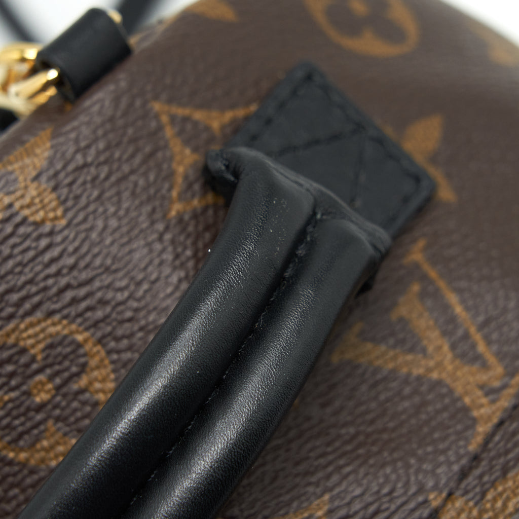 louis-vuitton-palm-spring-mini-backpack-monogram-canvas-year-2018