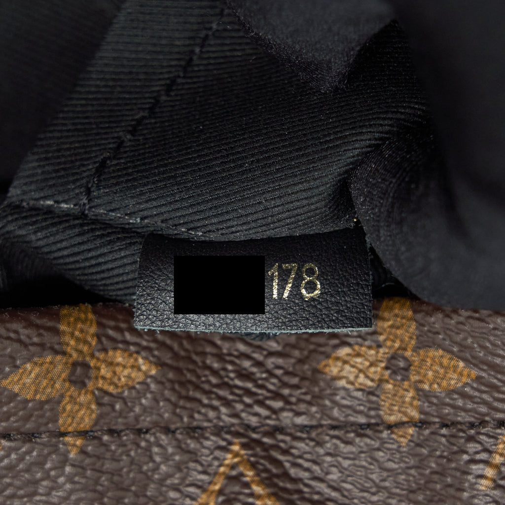 louis-vuitton-palm-spring-mini-backpack-monogram-canvas-year-2018