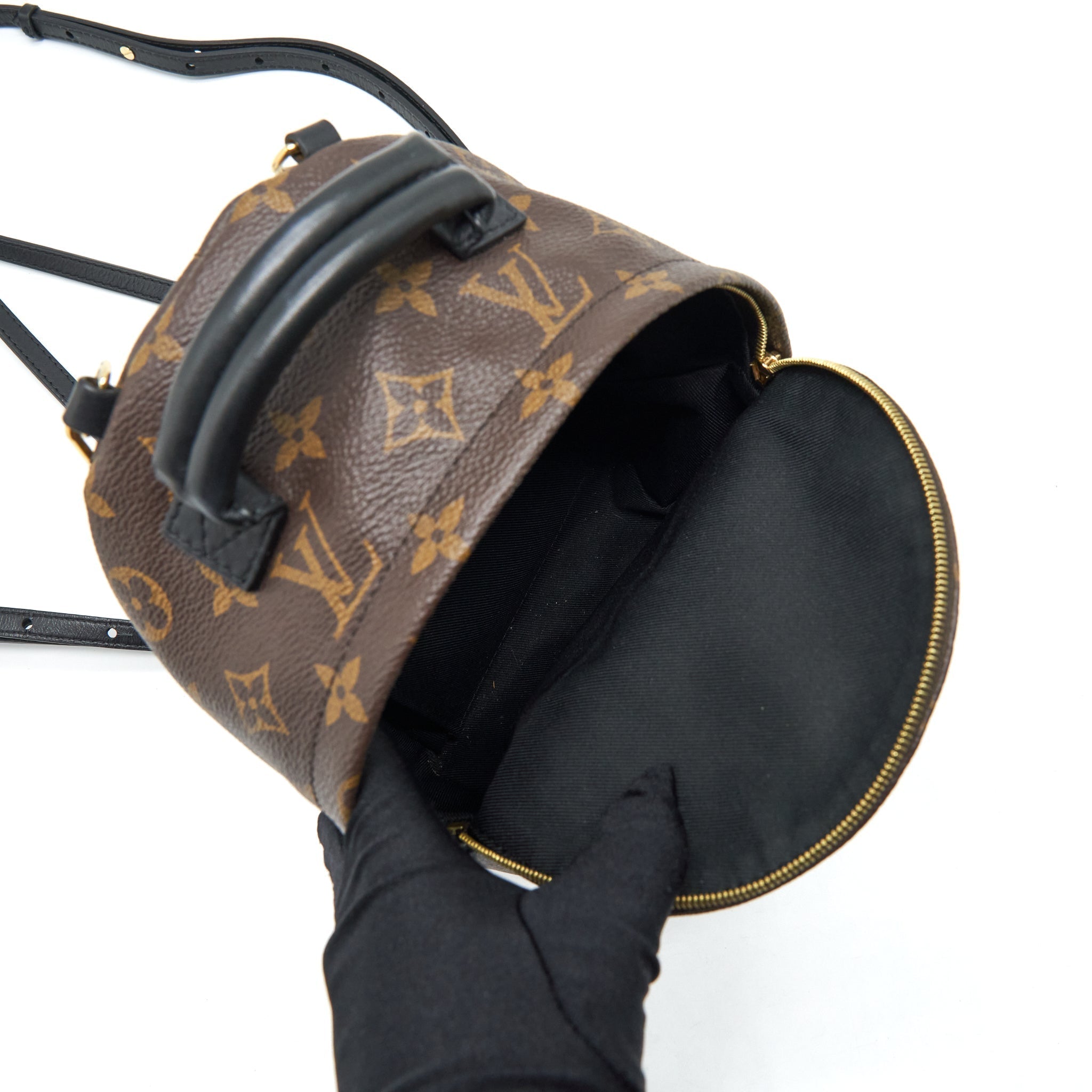 louis-vuitton-palm-spring-mini-backpack-monogram-canvas-year-2018