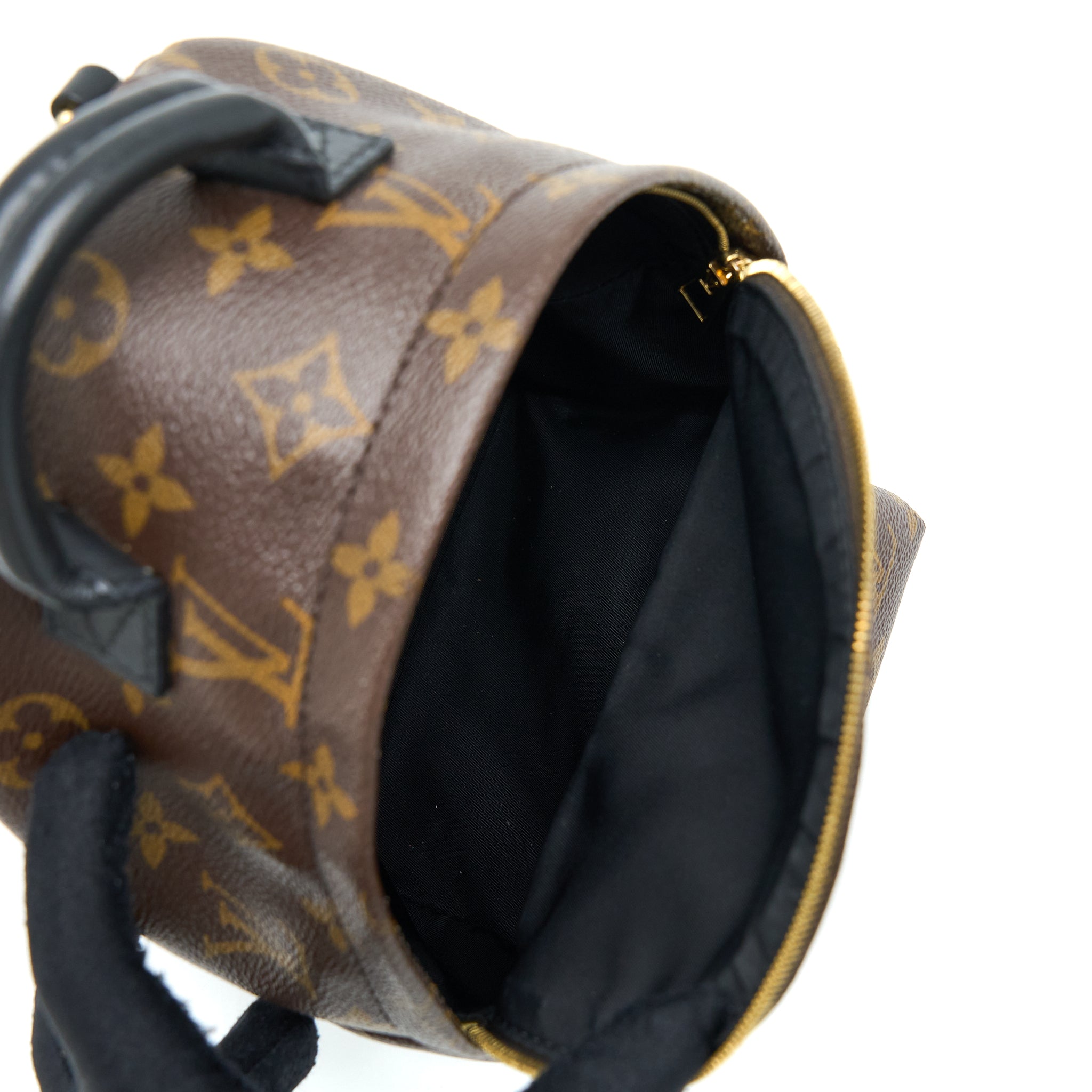 louis-vuitton-palm-spring-mini-backpack-monogram-canvas-ghw-2
