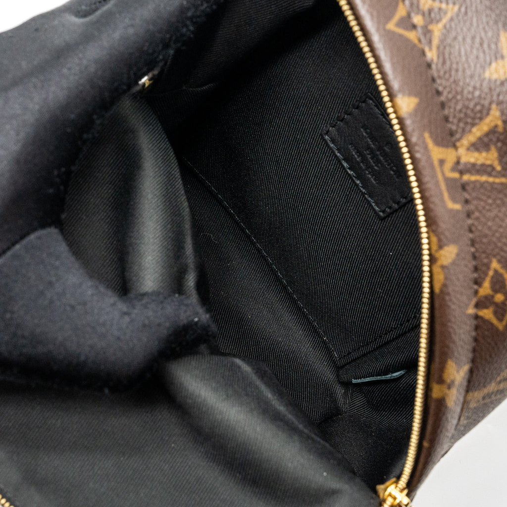louis-vuitton-mini-palm-spring-backpack-monogram-canvas-ghw-3