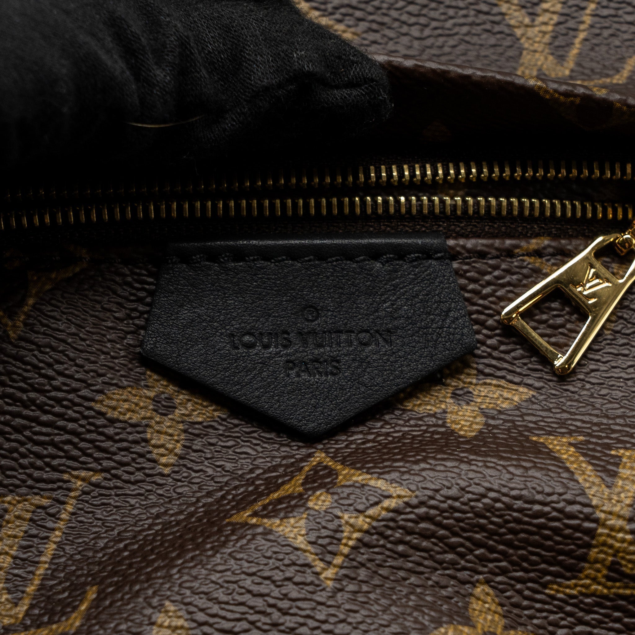 louis-vuitton-palm-spring-back-pack-pm-monogram-canvas-ghw