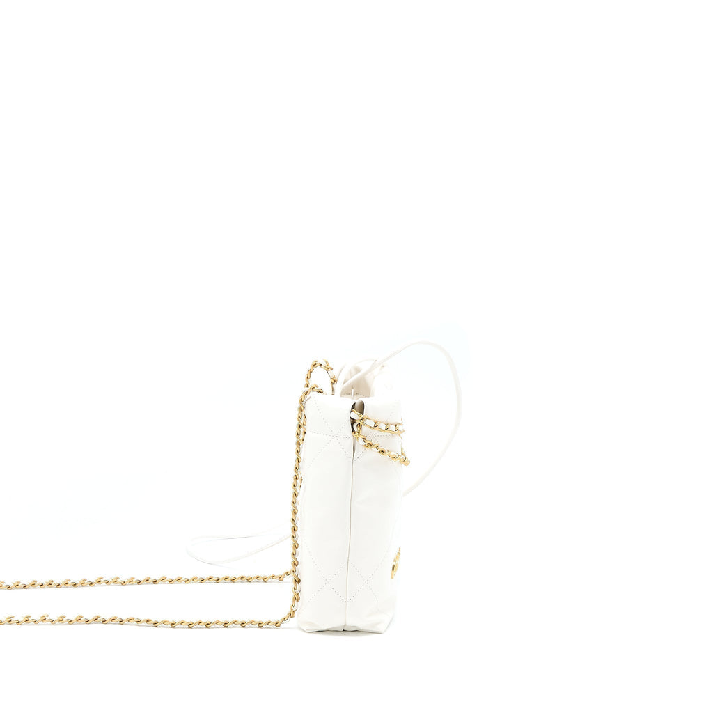 copy-of-chanel-23s-mini-22-bag-shiny-calfskin-white-ghw-microchip