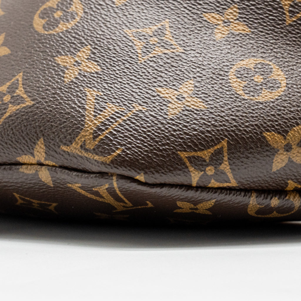 louis-vuitton-bumbag-monogram-canvas-ghw-4
