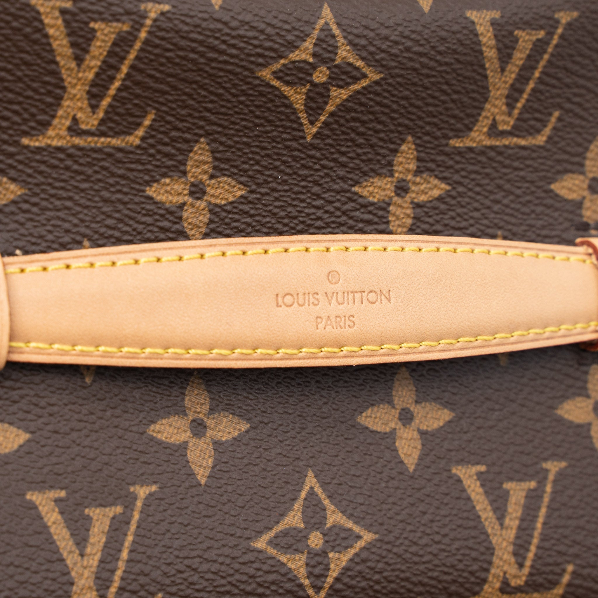 louis-vuitton-nice-mini-monogram-canvas-ghw-1