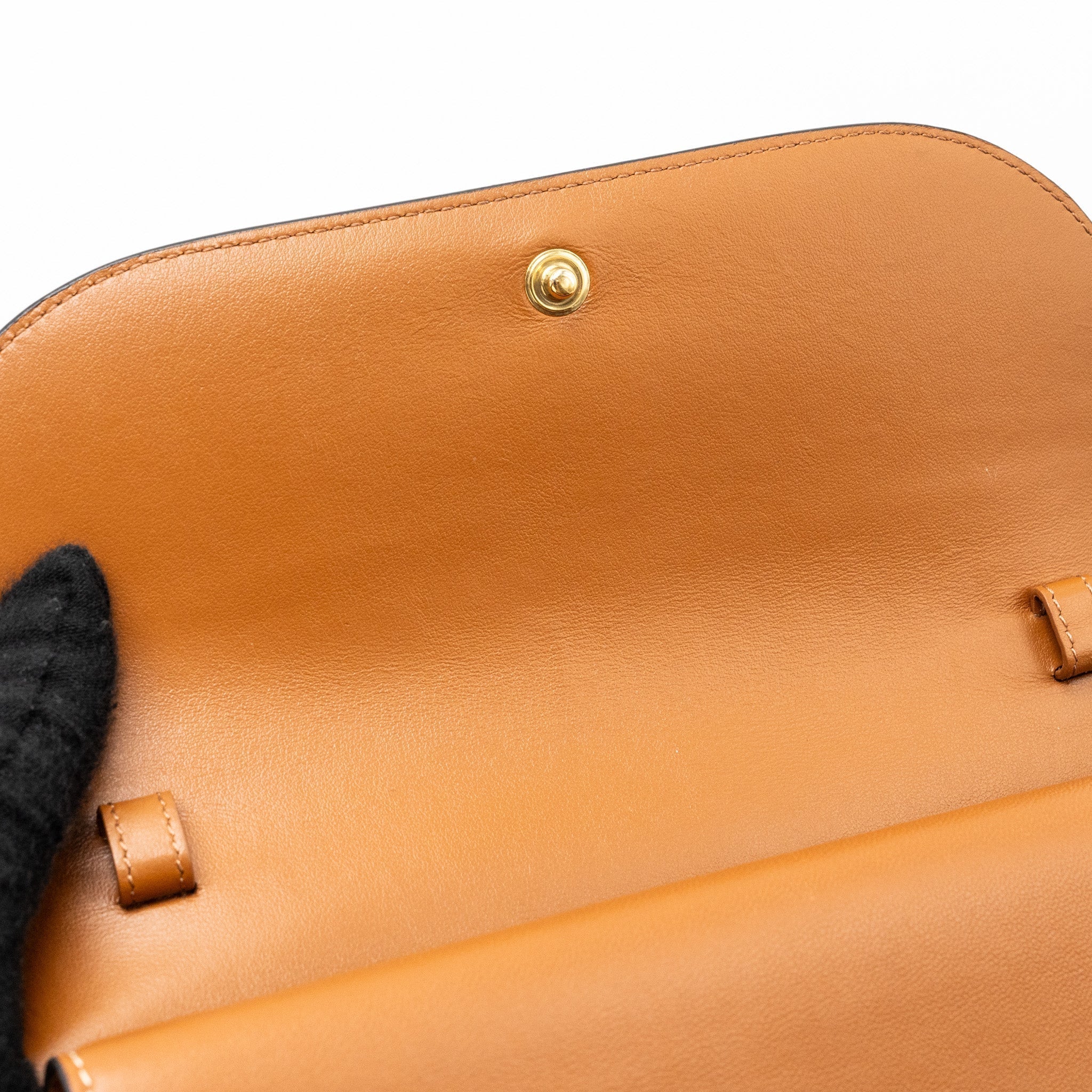 celine-wallet-on-strap-triomphe-canvas-lambskin-tan-ghw-1