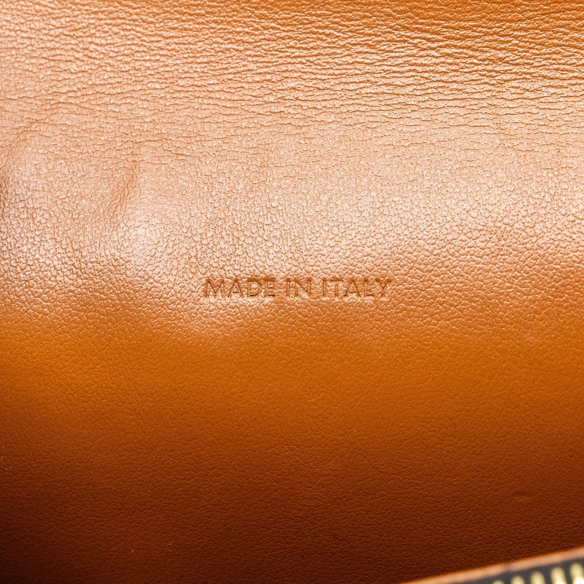 celine-wallet-on-strap-triomphe-canvas-lambskin-tan-ghw-1