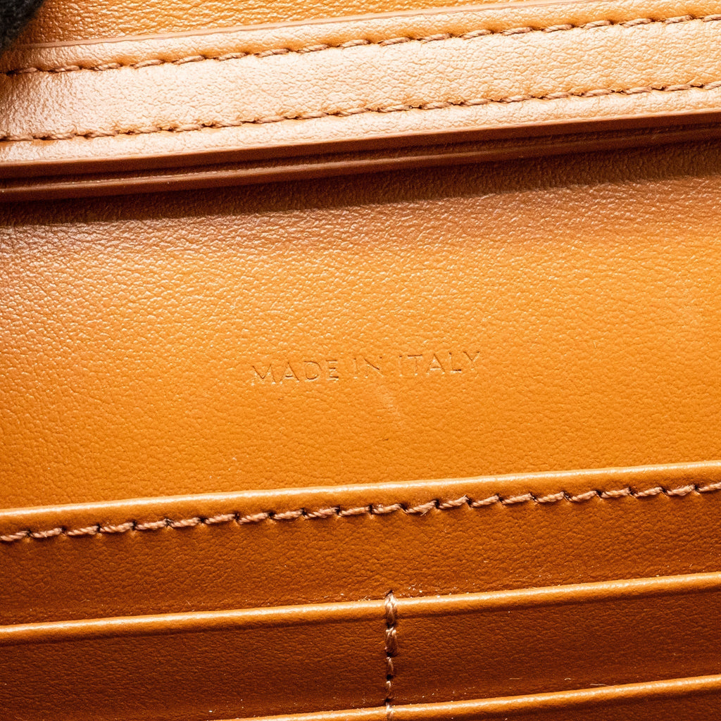 celine-envelope-bag-in-triomphe