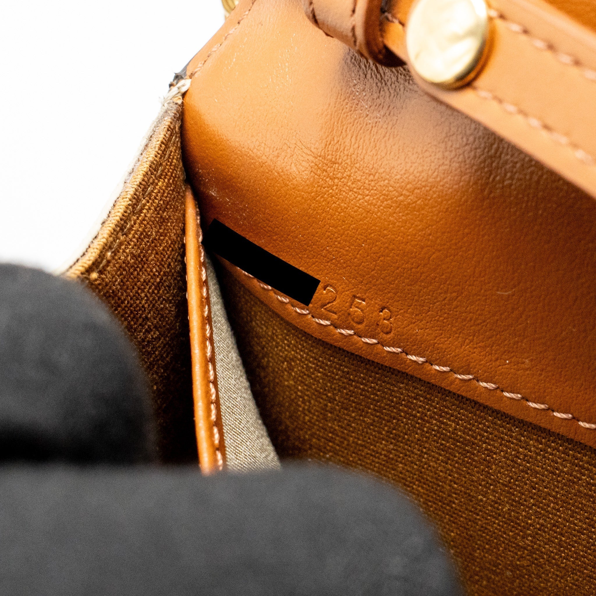 celine-envelope-bag-in-triomphe