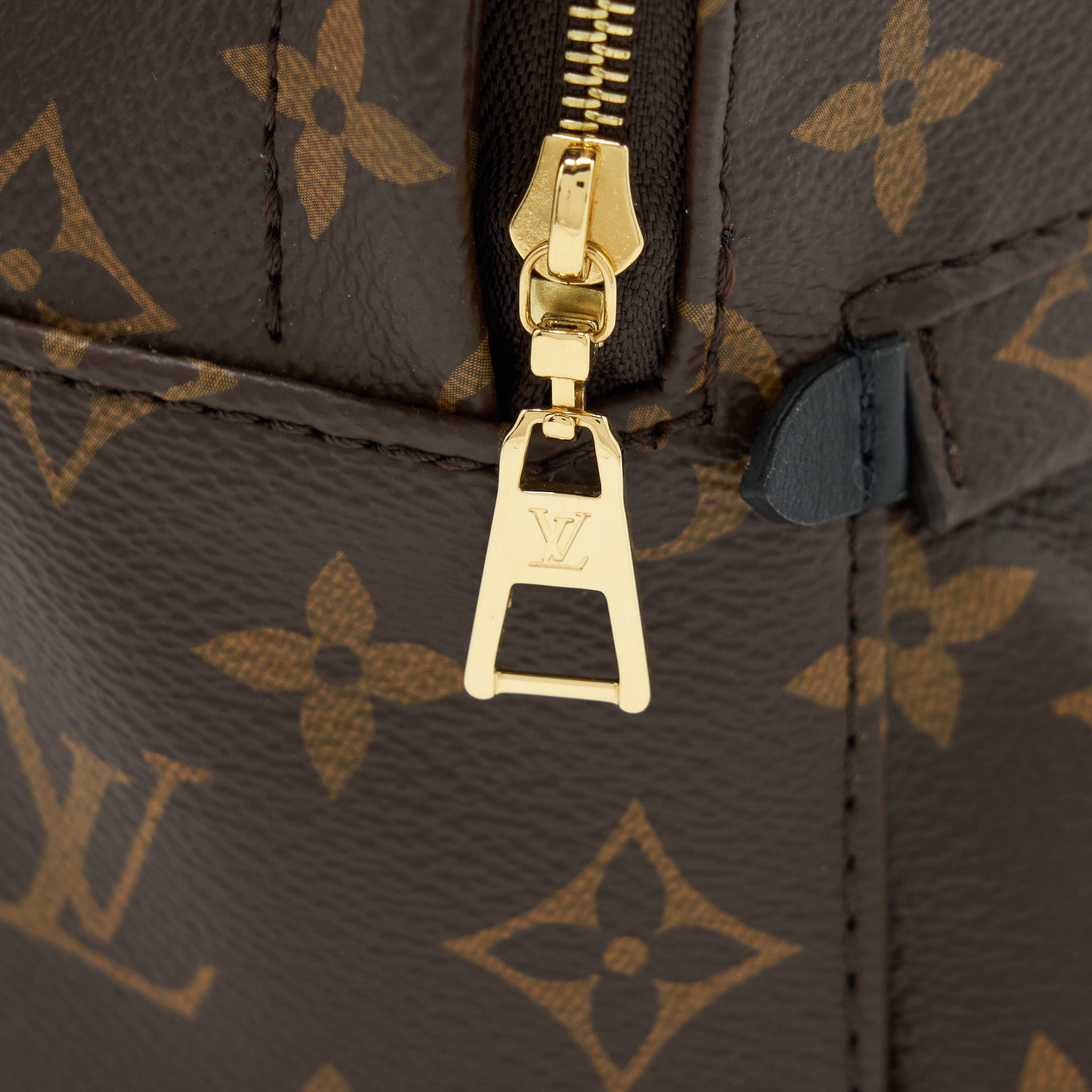 louis-vuitton-palm-springs-mini-backpack-monogram-canvas-ghw