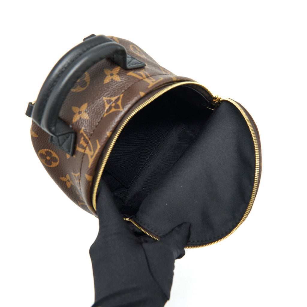 louis-vuitton-palm-springs-mini-backpack-monogram-canvas-ghw