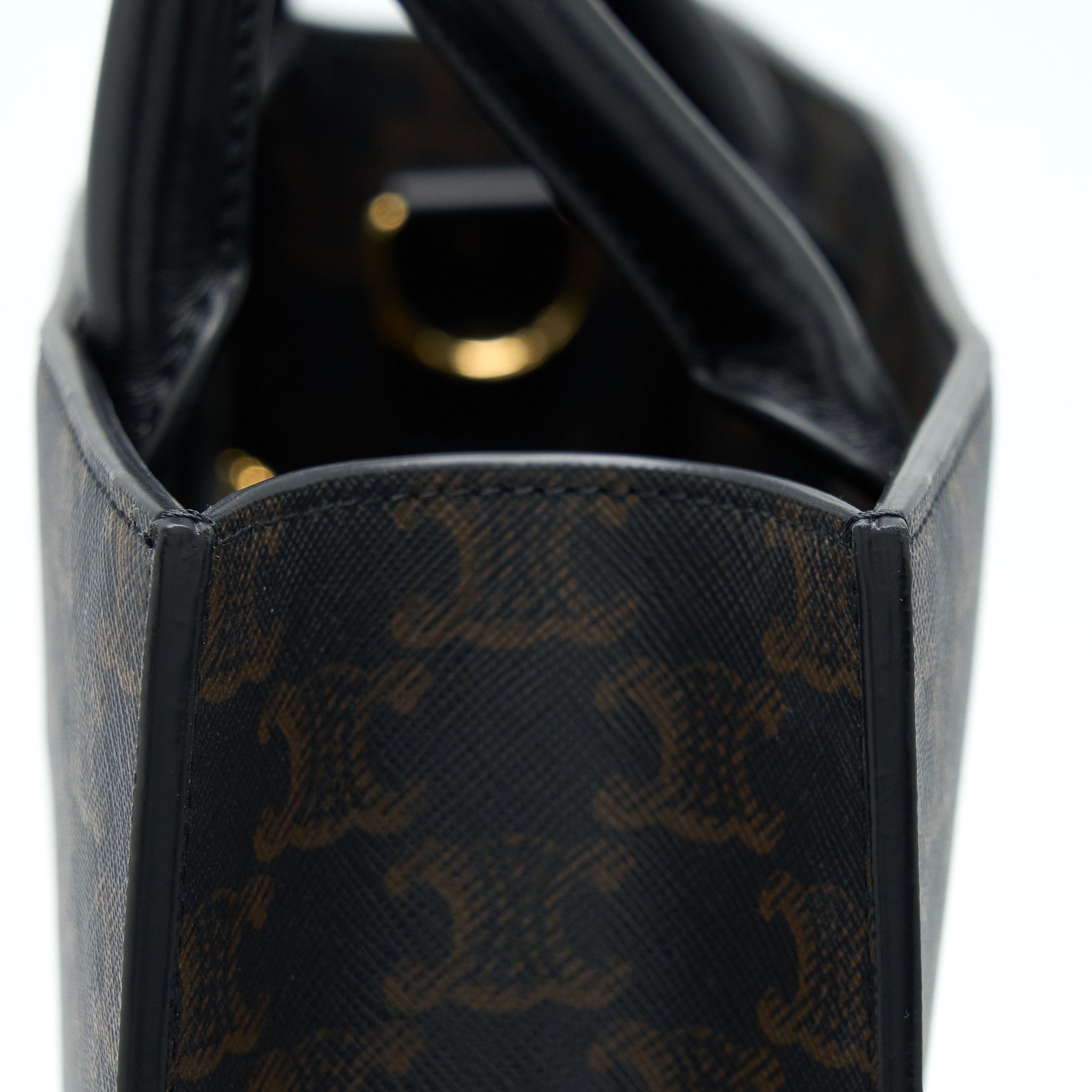 celine-vertical-cabas-triomphe-canvas-ghw