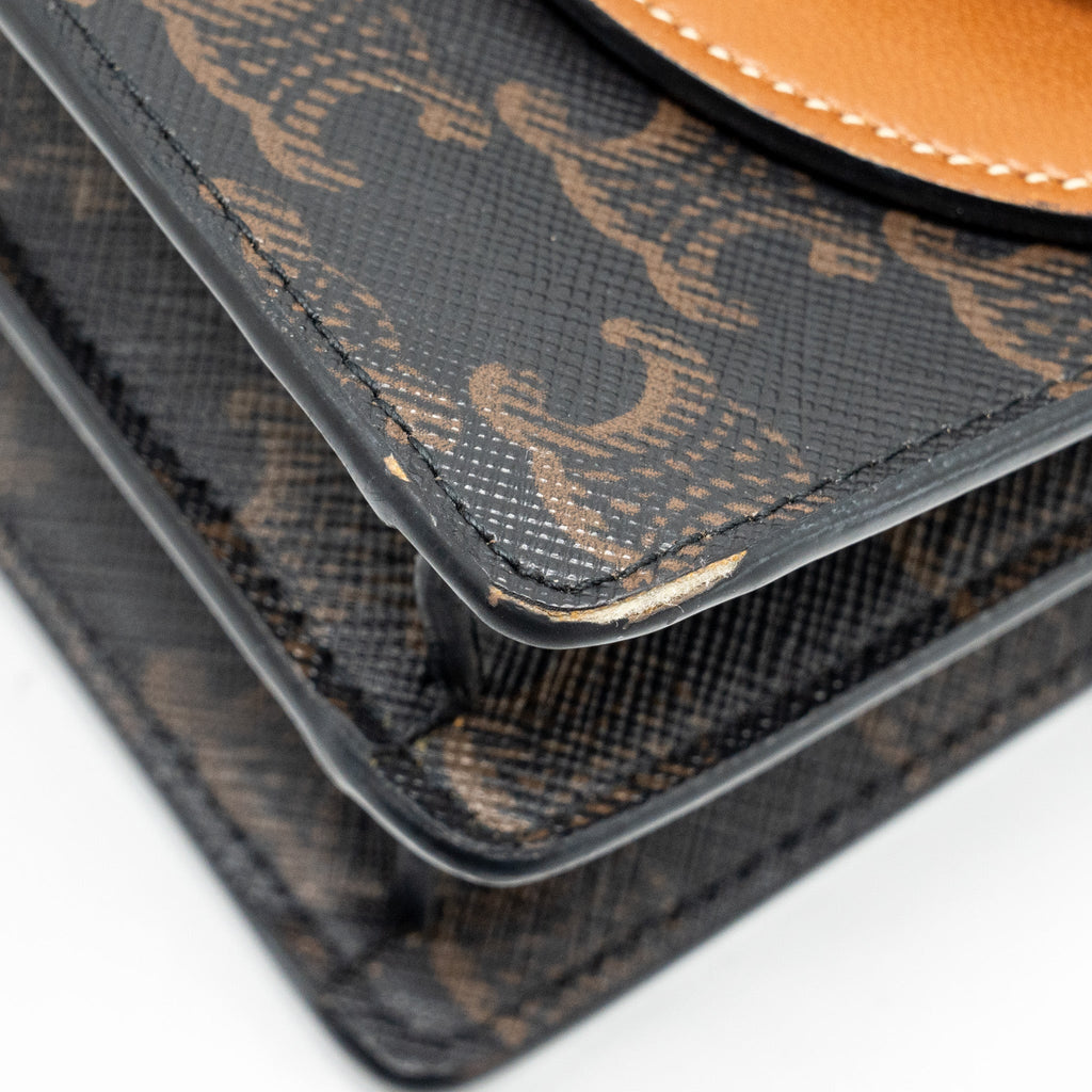 celine-wallet-on-strap-triomphe-canvas-smooth-lambskin-tan-ghw-4