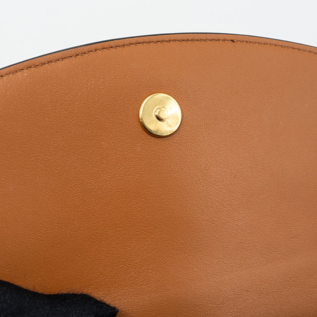 celine-clutch-on-strap-tabou-triomphe-canvas-calfskin-ghw-tan