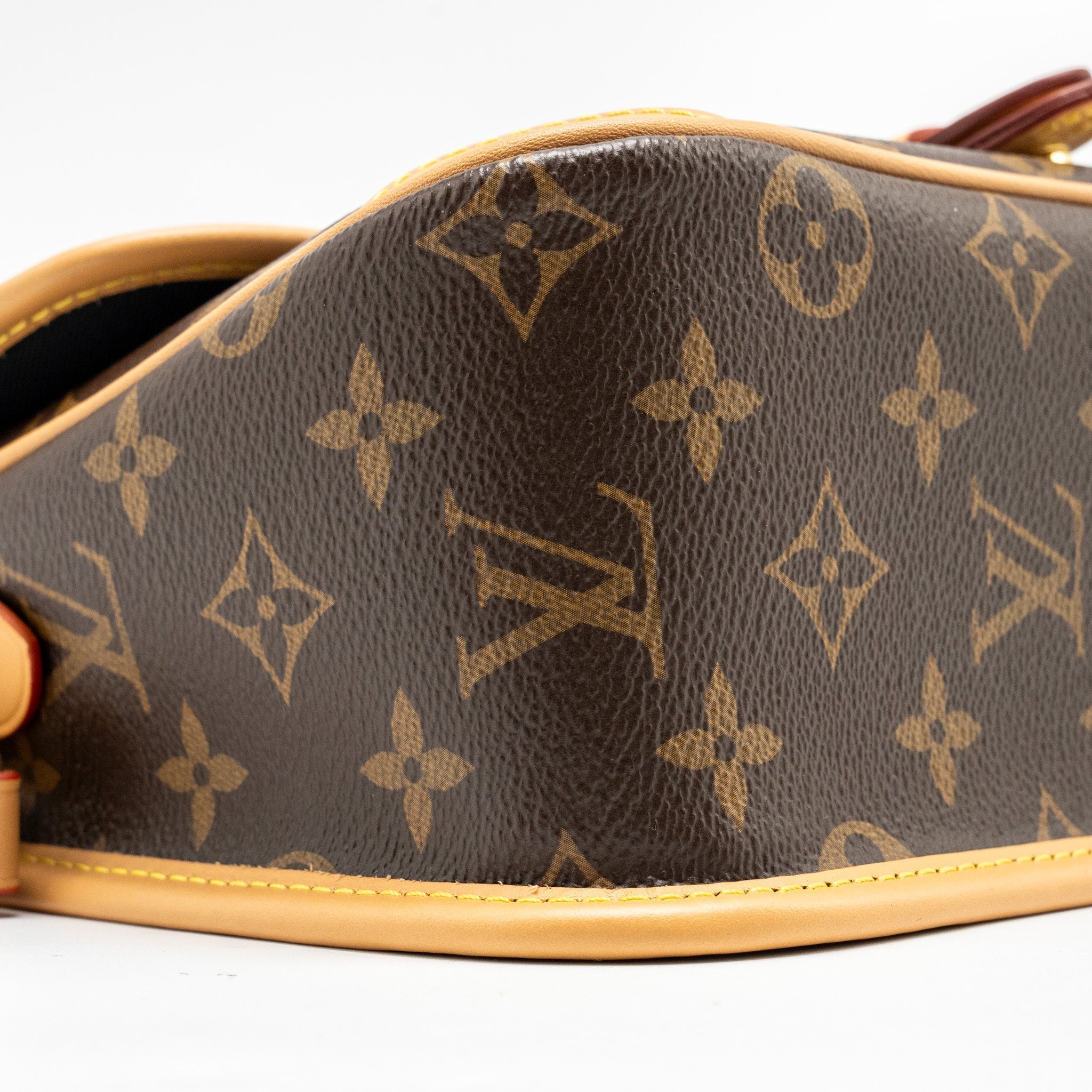louis-vuitton-diane-bag-with-jacquard-strap-monogram-canvas-ghw-1