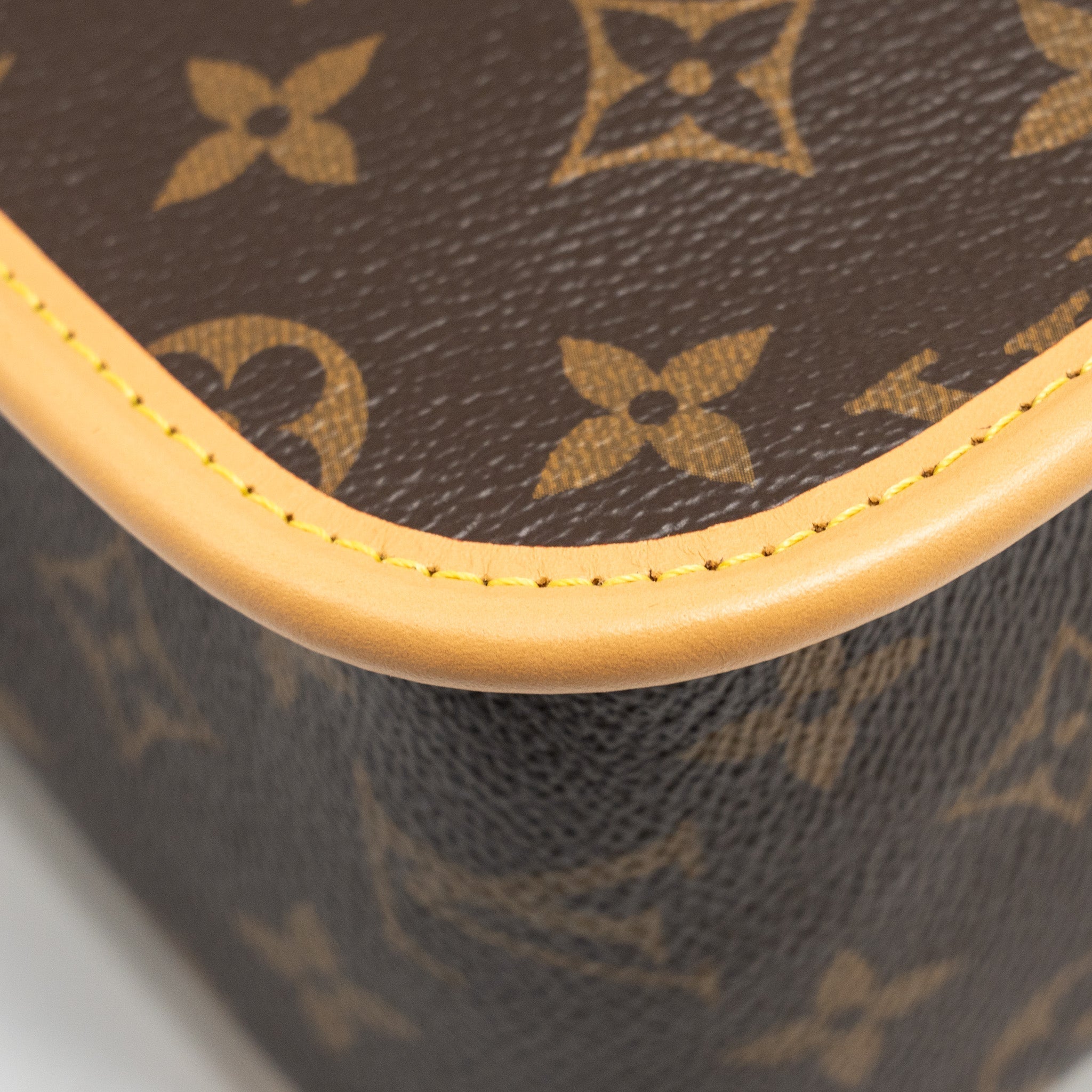 louis-vuitton-diane-bag-with-jacquard-strap-monogram-canvas-ghw-1