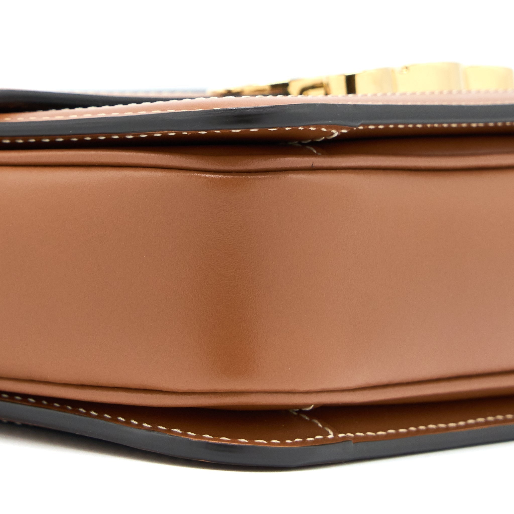 celine-teen-triomphe-bag-in-triomphe-canvas-and-calfskin-ghw