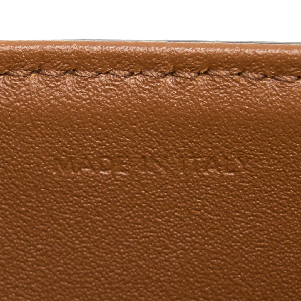 celine-teen-triomphe-bag-in-triomphe-canvas-and-calfskin-ghw