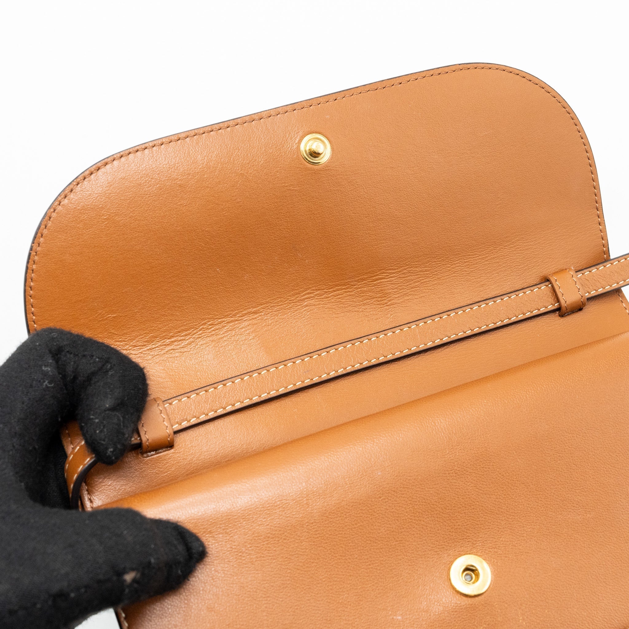 celine-wallet-on-strap-triomphe-canvas-smooth-lambskin-tan-ghw-2