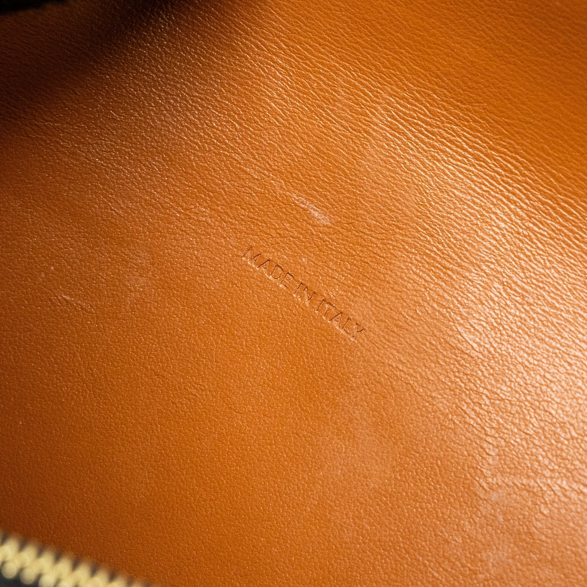 celine-wallet-on-strap-triomphe-canvas-smooth-lambskin-tan-ghw-2