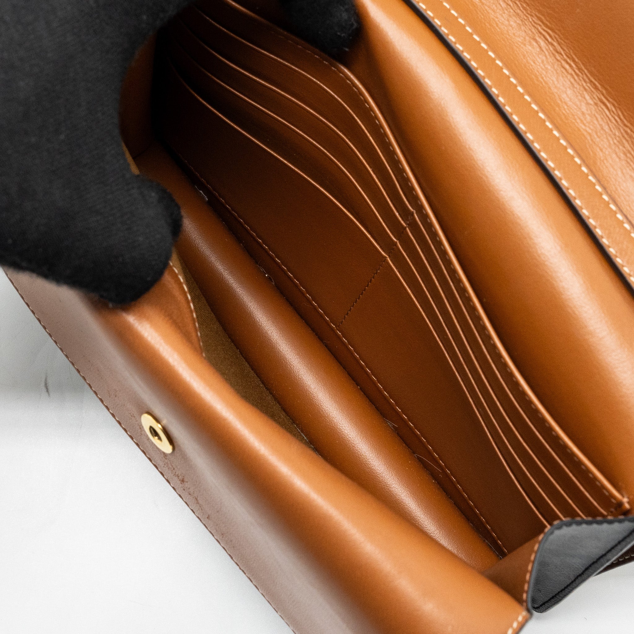 celine-wallet-on-strap-triomphe-canvas-smooth-lambskin-tan-ghw-2
