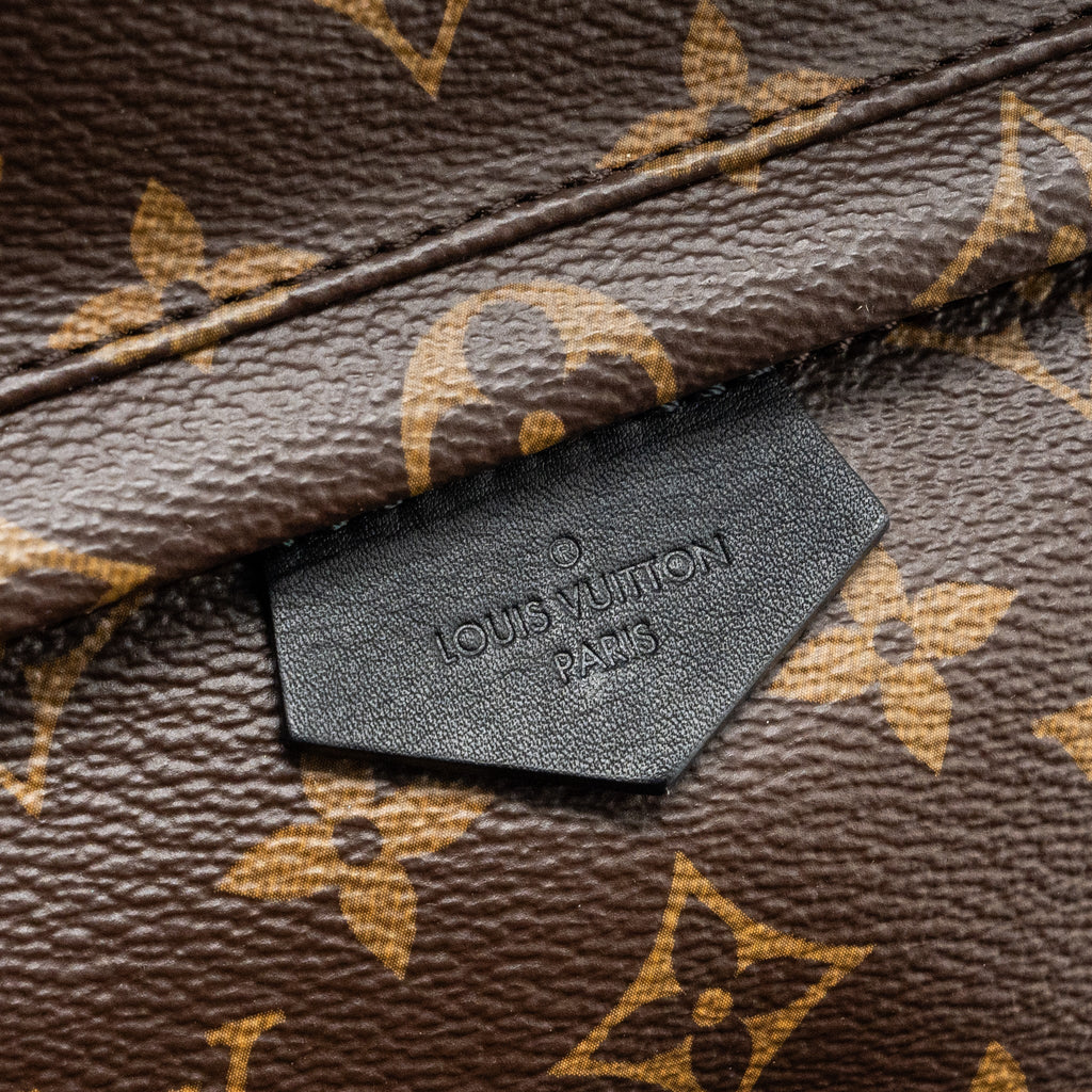 louis-vuitton-palm-spring-pm-backpack-monogram-canvas-ghw-1