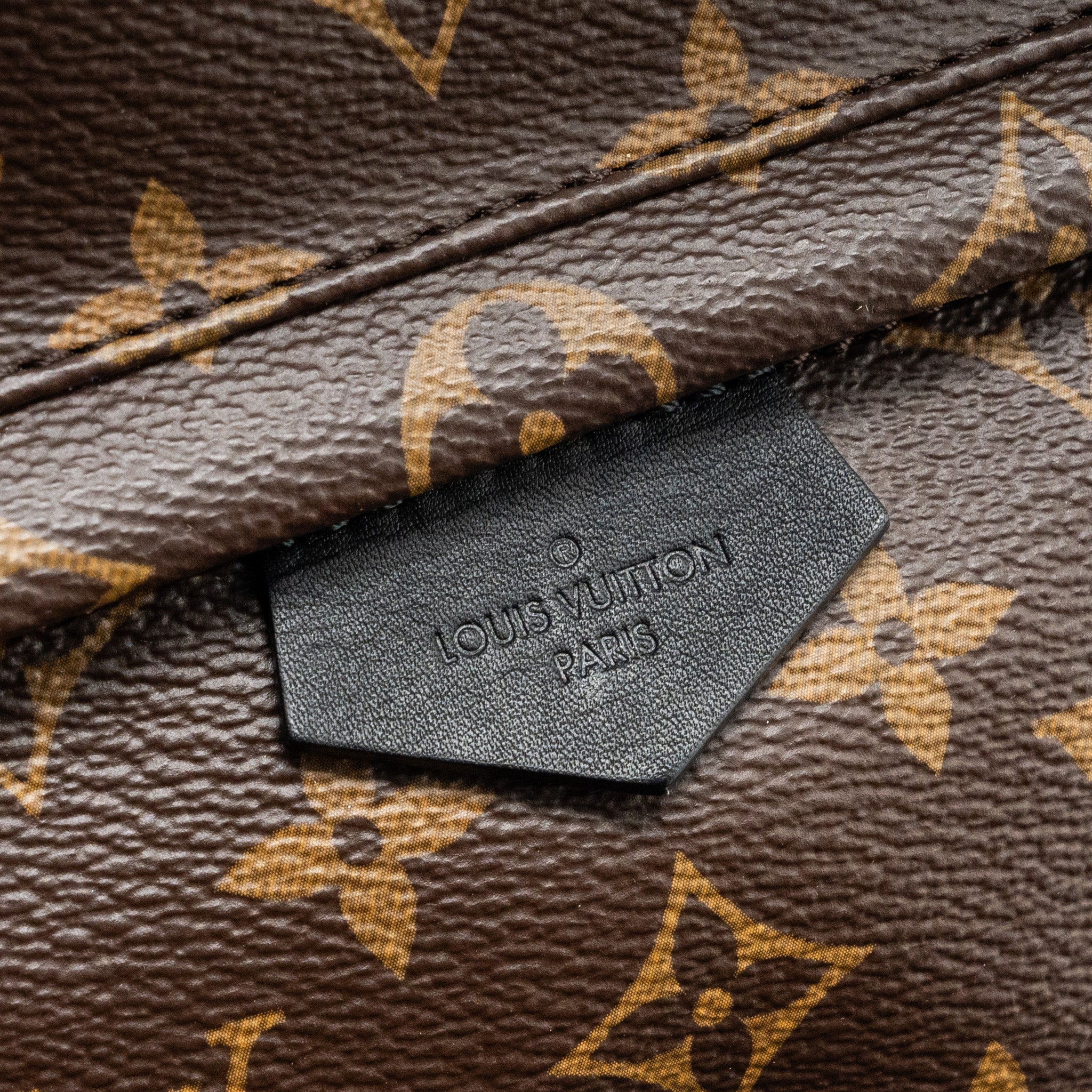 louis-vuitton-palm-spring-pm-backpack-monogram-canvas-ghw-1