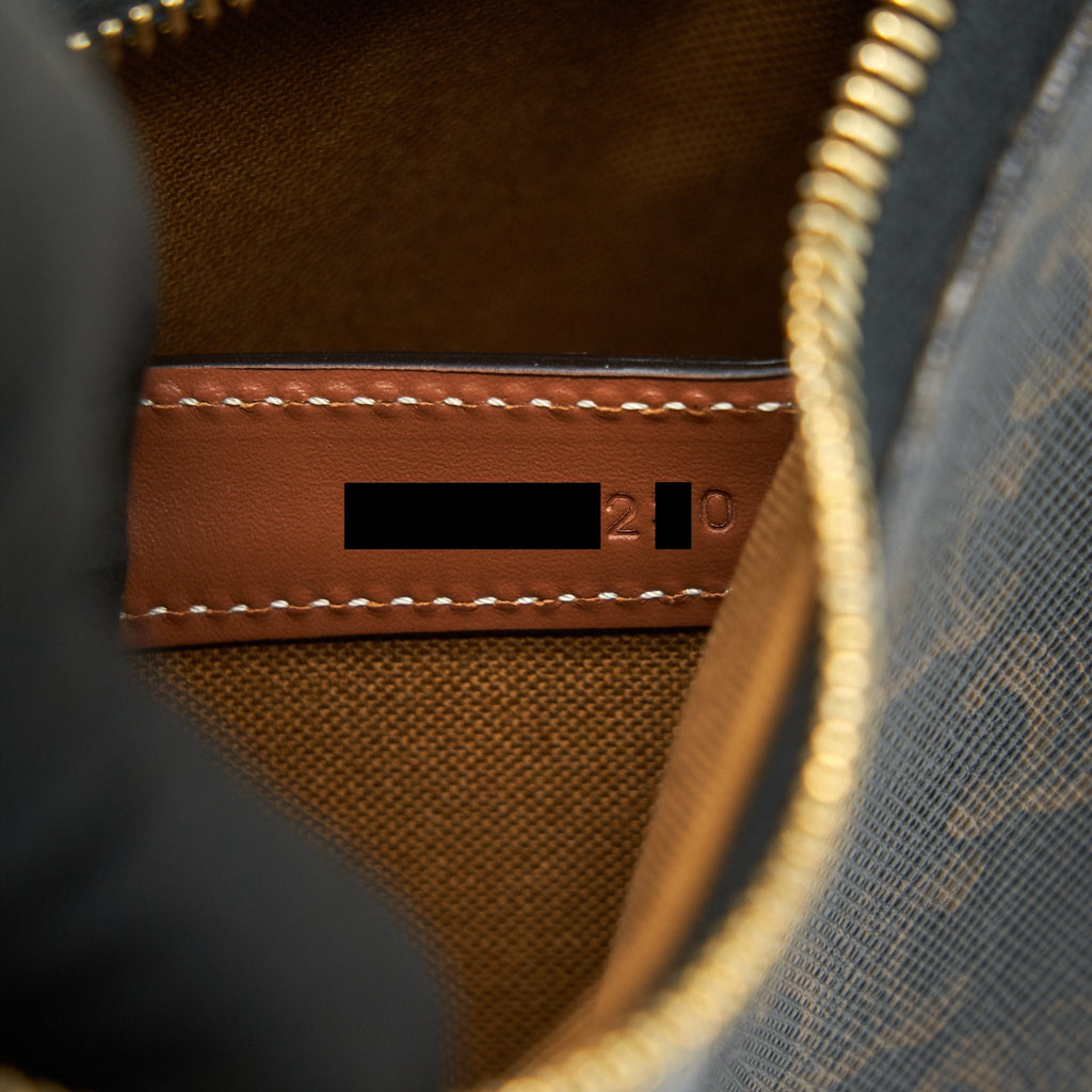 celine-ava-bag-in-triomphe-canvas-and-calfskin-tan