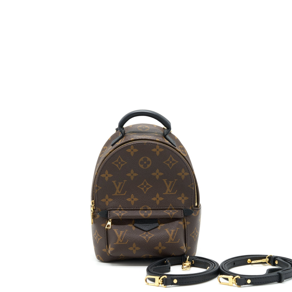 louis-vuitton-palm-springs-mini-backpack-monogram-canvas-new-zipper