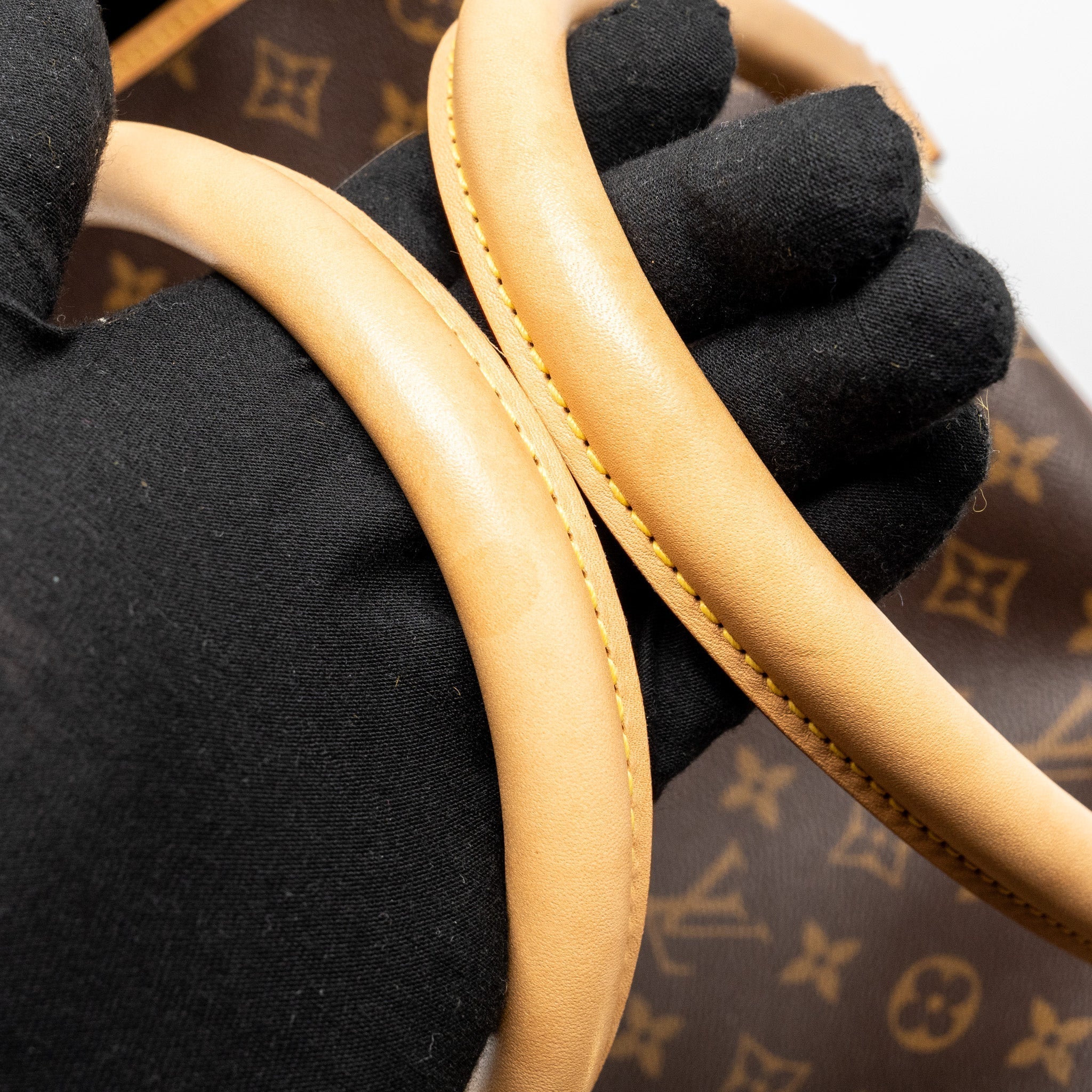louis-vuitton-dog-bag-monogram-canvas-ghw