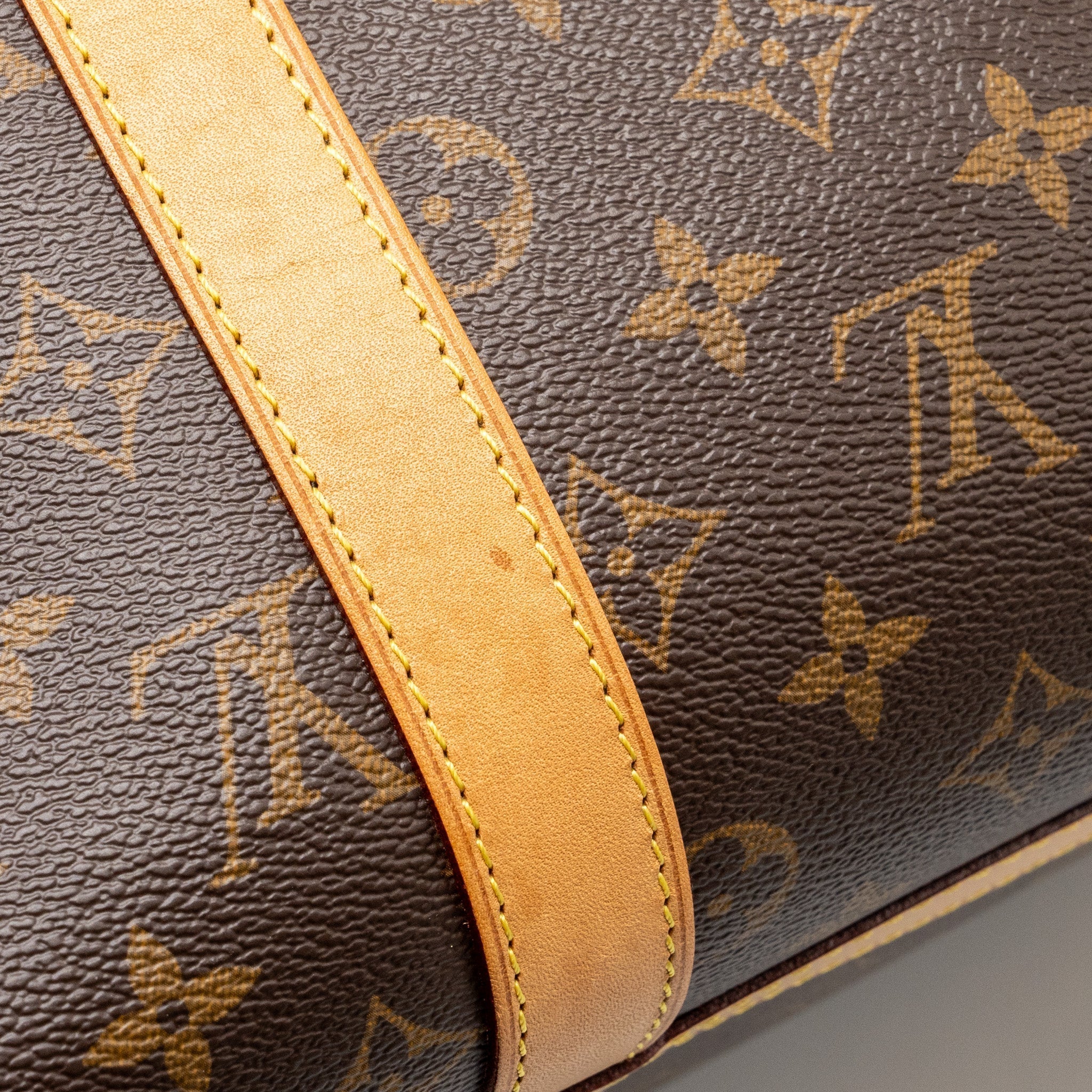 louis-vuitton-dog-bag-monogram-canvas-ghw
