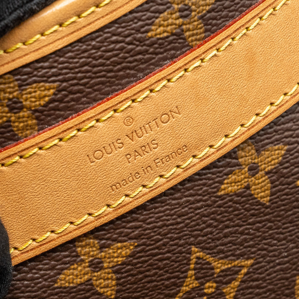 louis-vuitton-dog-bag-monogram-canvas-ghw