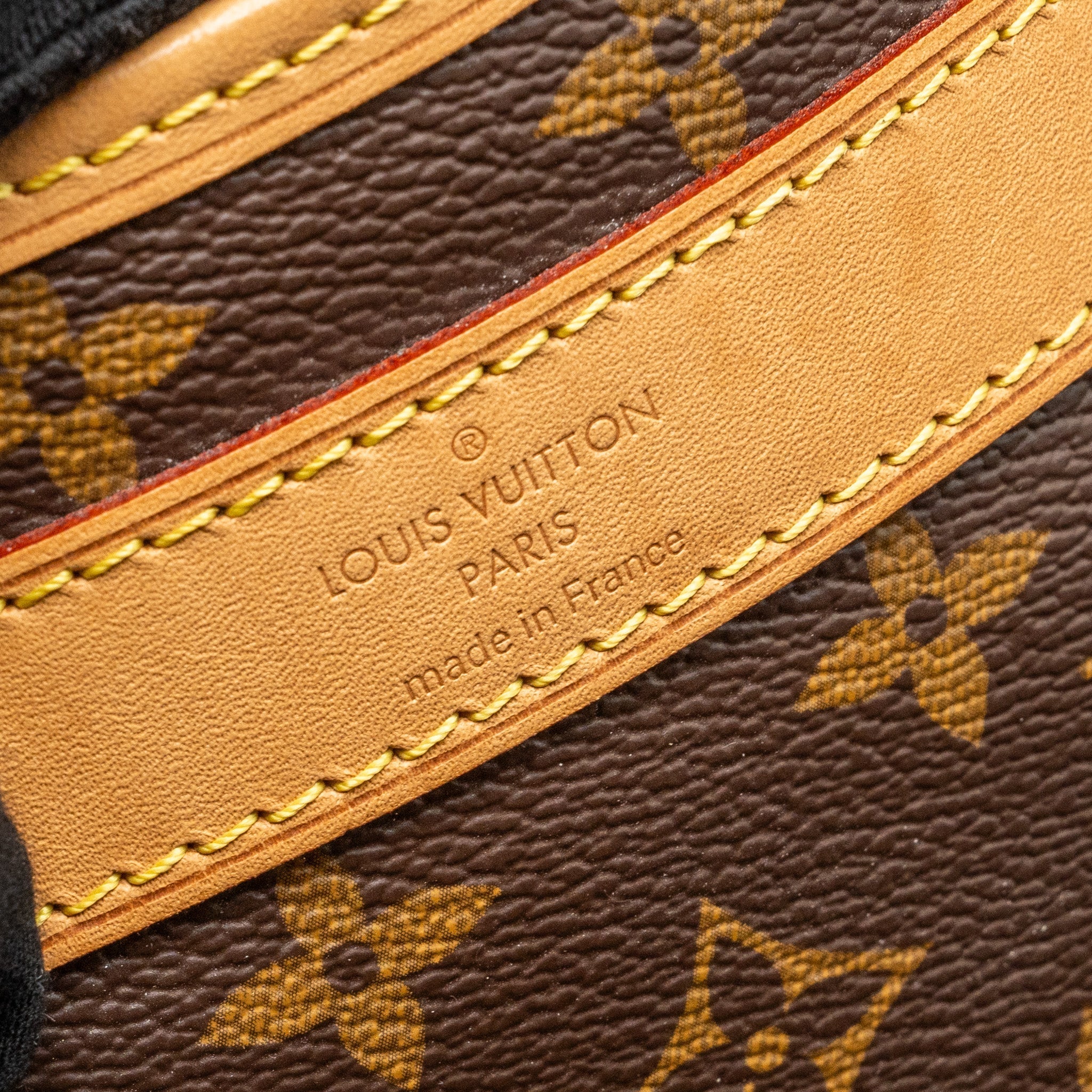 louis-vuitton-dog-bag-monogram-canvas-ghw