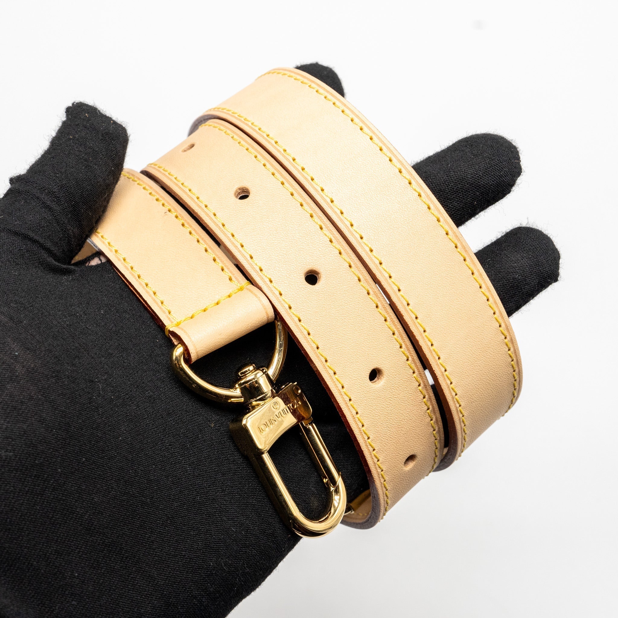 louis-vuitton-dog-bag-monogram-canvas-ghw
