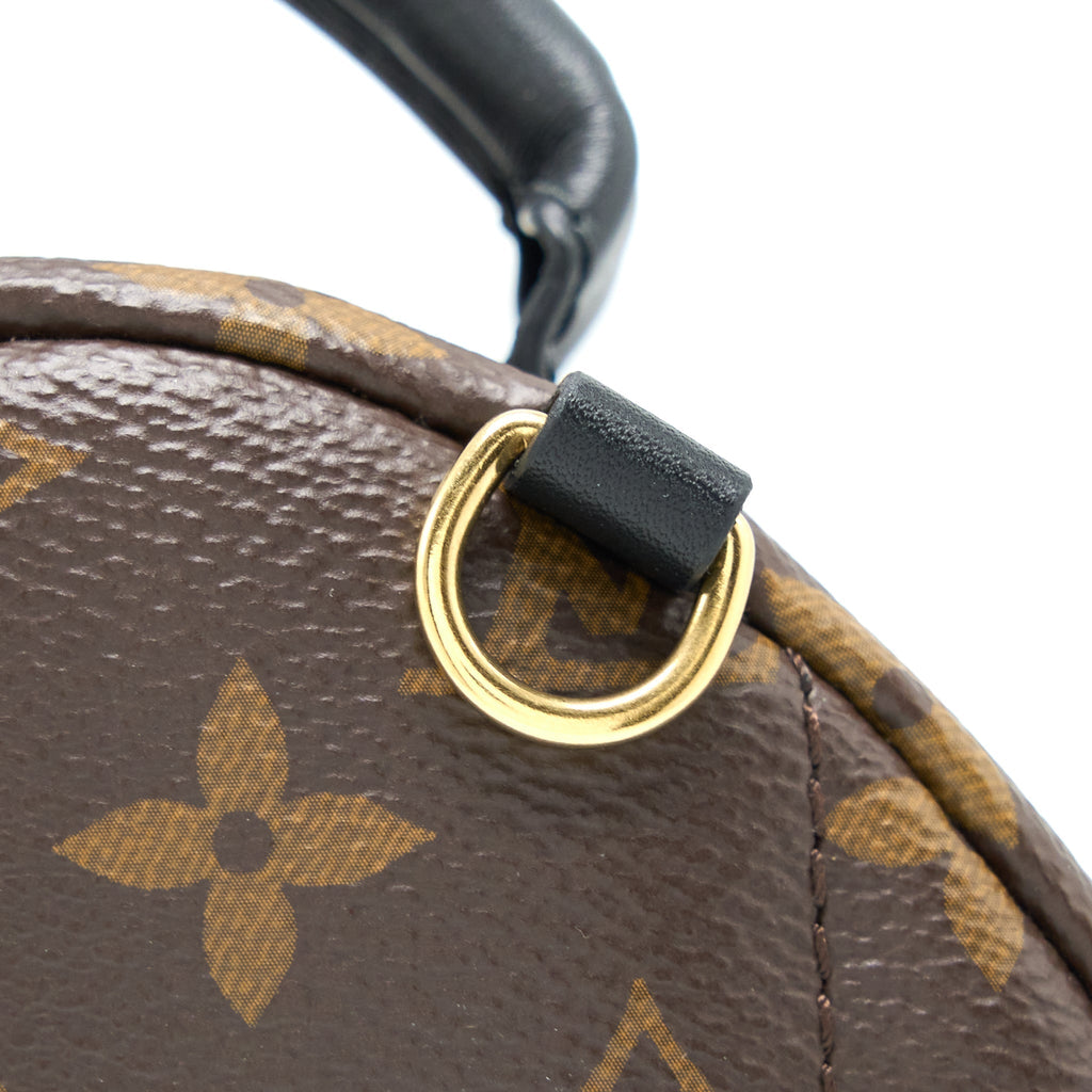 louis-vuitton-mini-palm-spring-backpack-monogram-canvas-ghw-1