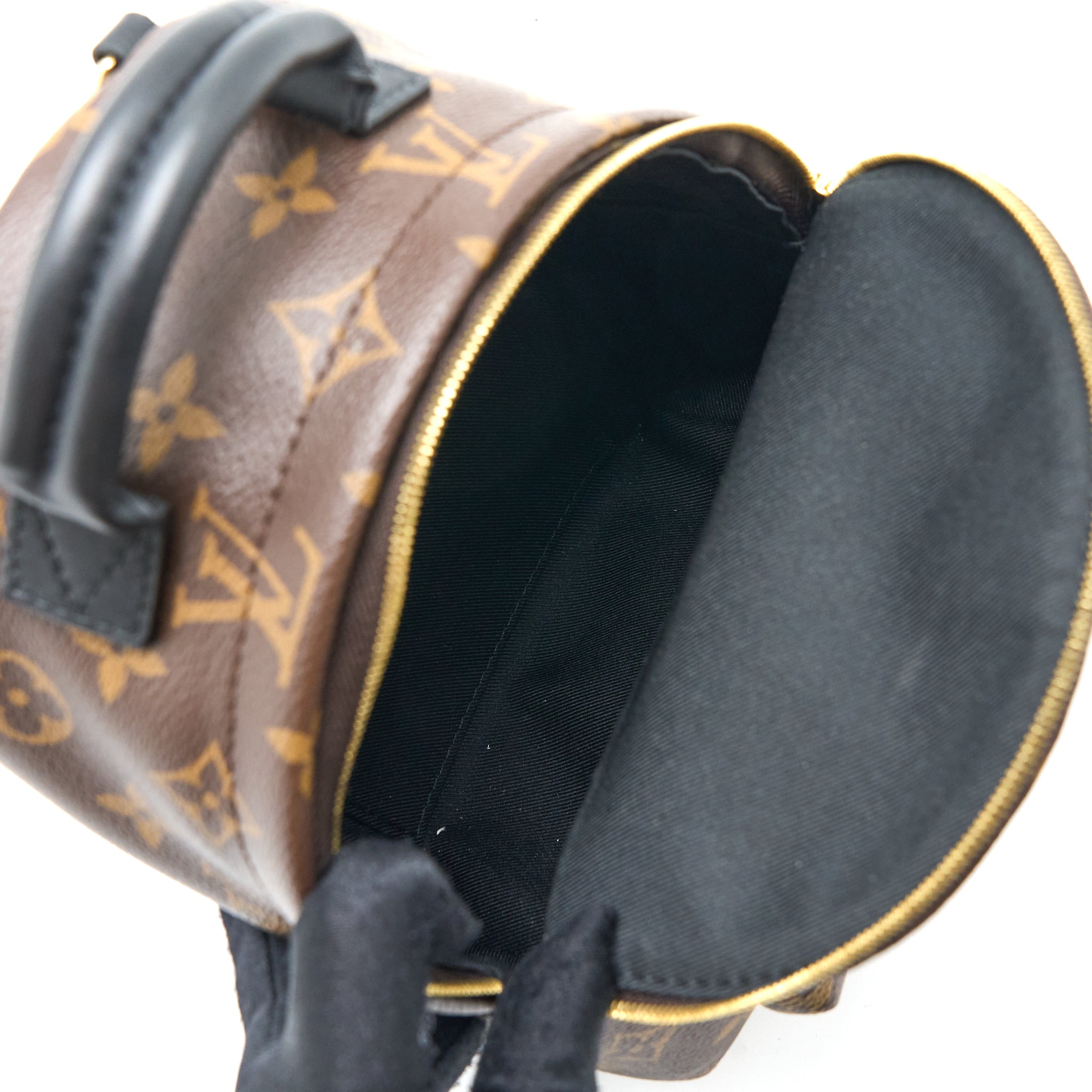louis-vuitton-mini-palm-spring-backpack-monogram-canvas-ghw-1