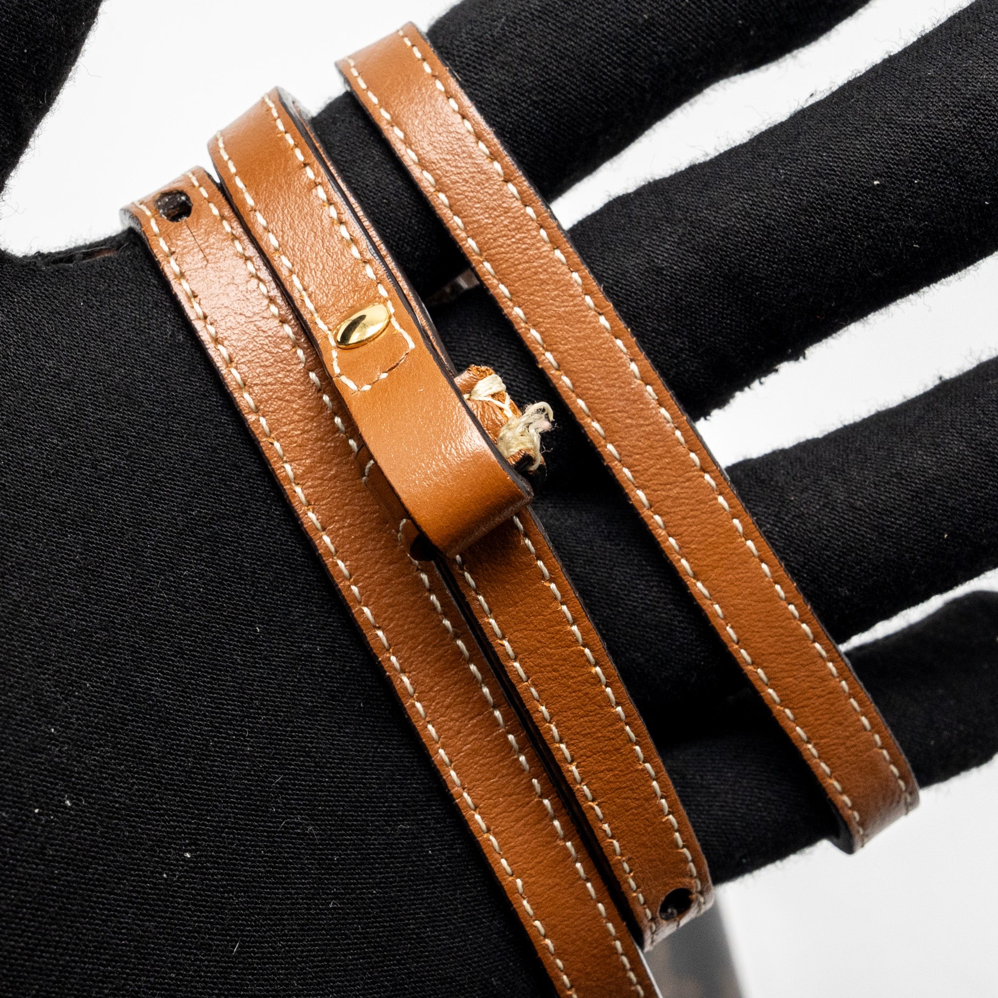 celine-wallet-on-strap-triomphe-canvas-smooth-lambskin-tan-ghw-4