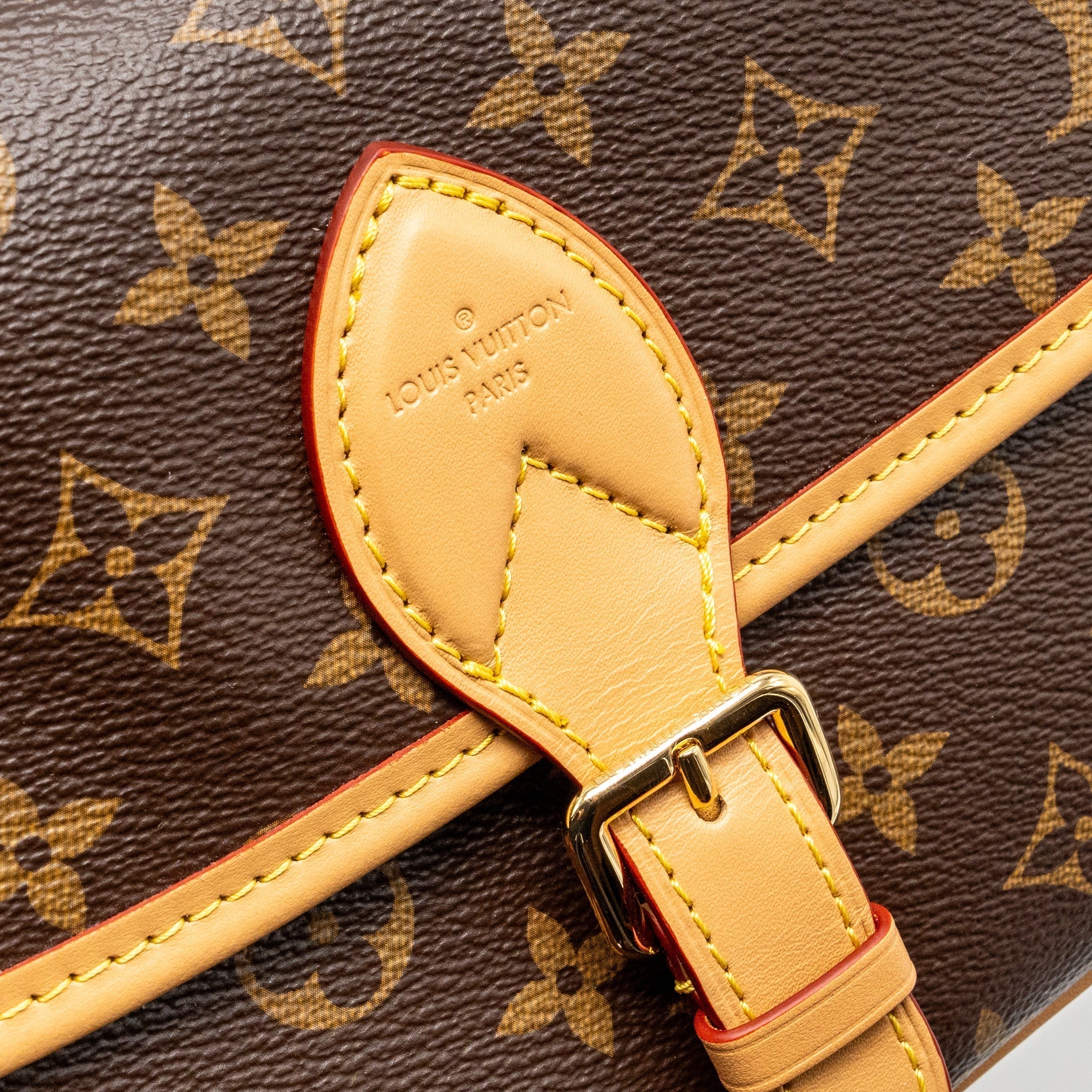 louis-vuitton-diane-bag-with-jacquard-strap-monogram-canvas-ghw-1