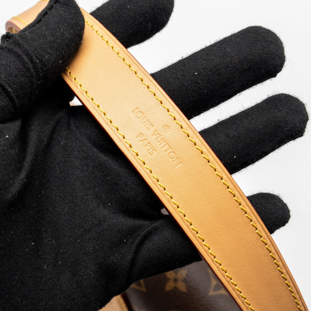 louis-vuitton-diane-bag-with-jacquard-strap-monogram-canvas-ghw-1