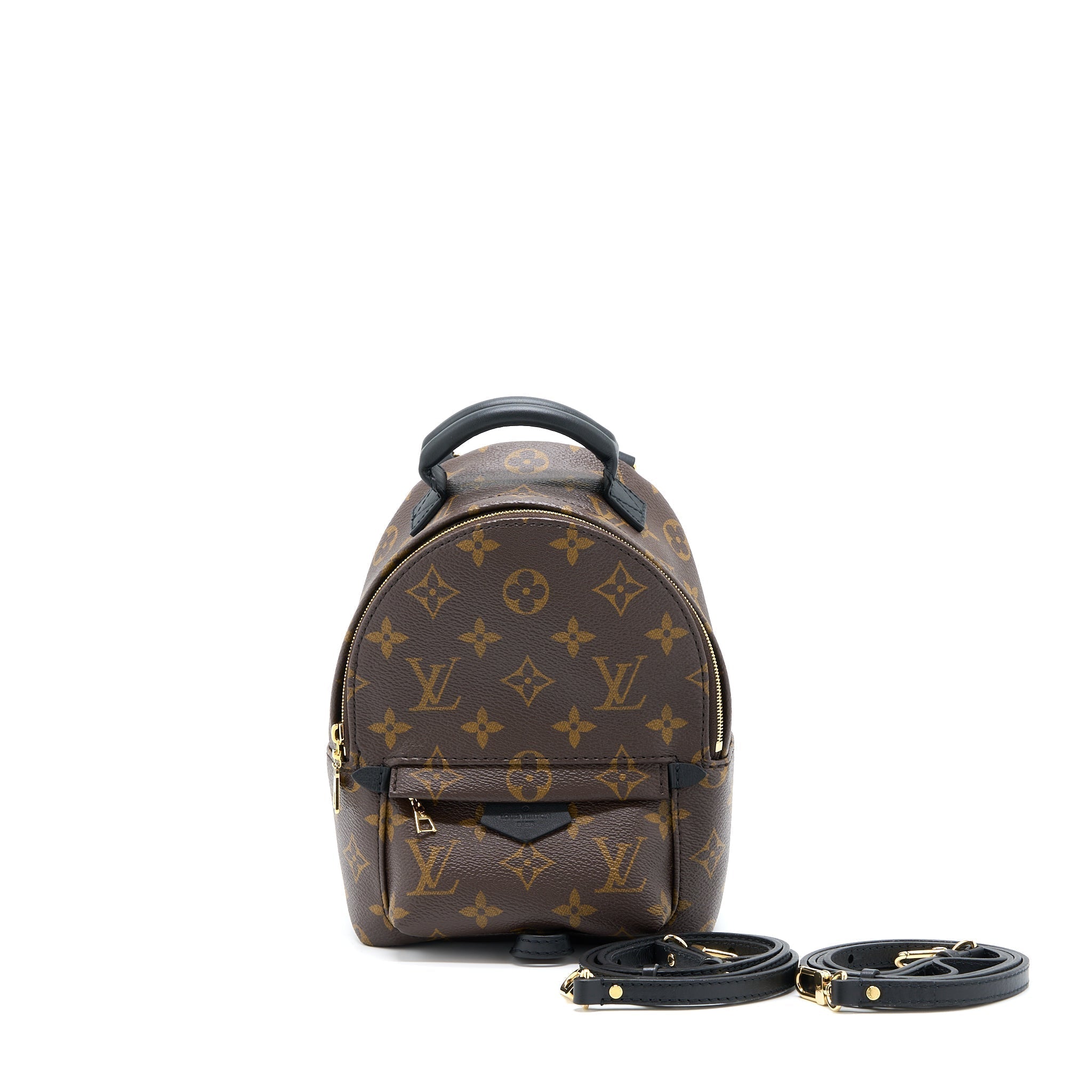 louis-vuitton-palm-springs-mini-backpack-new-version-monogram-canvas-ghw