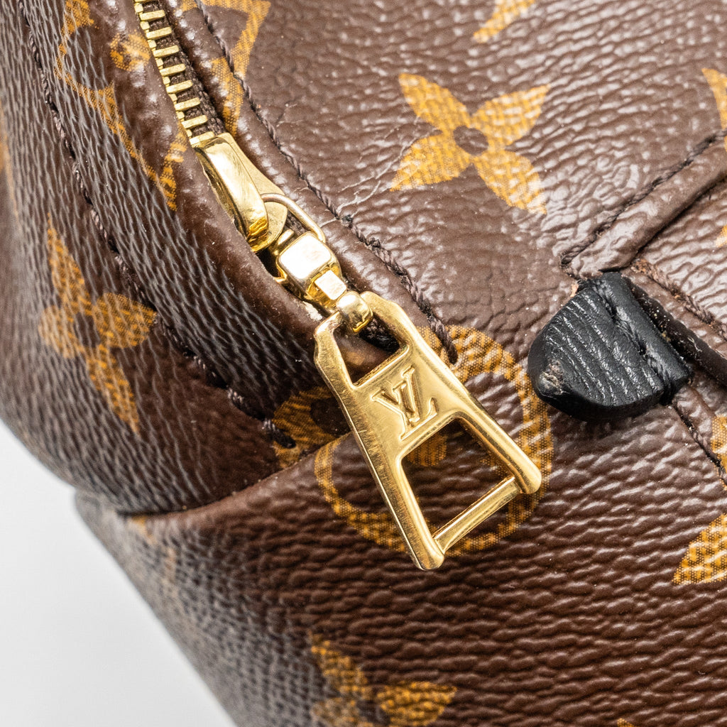 louis-vuitton-mini-palm-spring-backpack-monogram-canvas-ghw-6