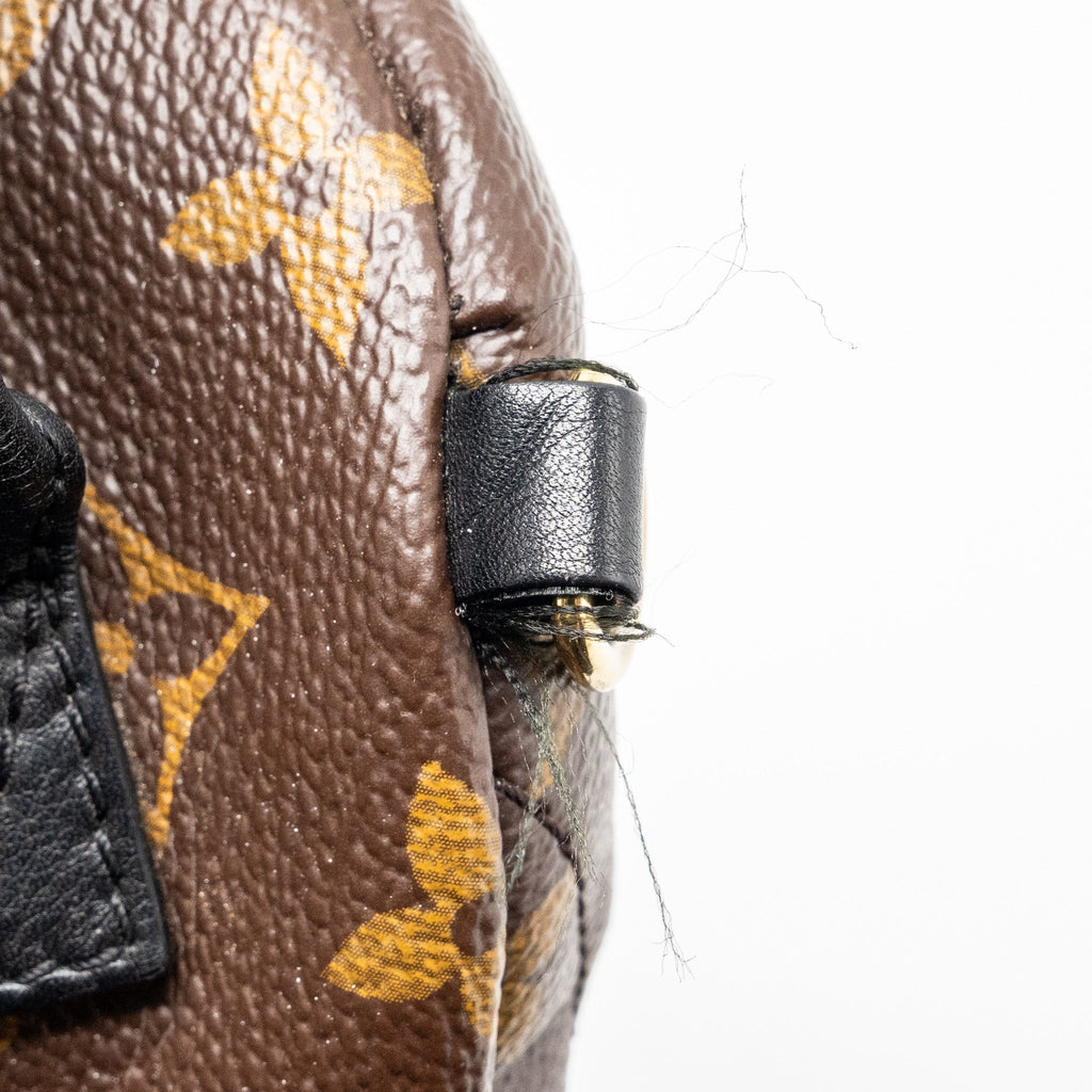louis-vuitton-mini-palm-spring-backpack-monogram-canvas-ghw-6