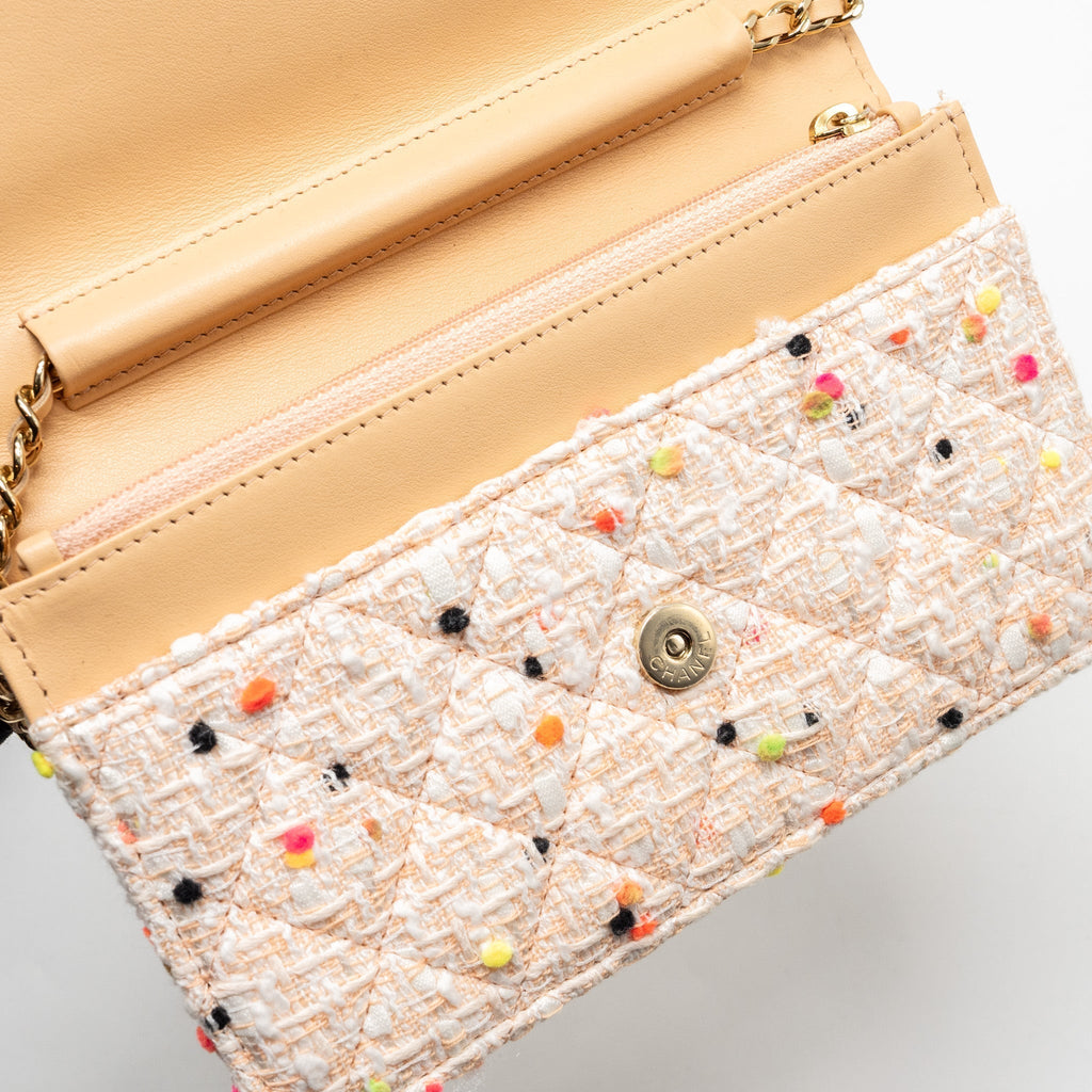 chanel-19s-wallet-on-chain-o-mini-bag-tweed-multicolour-lghw