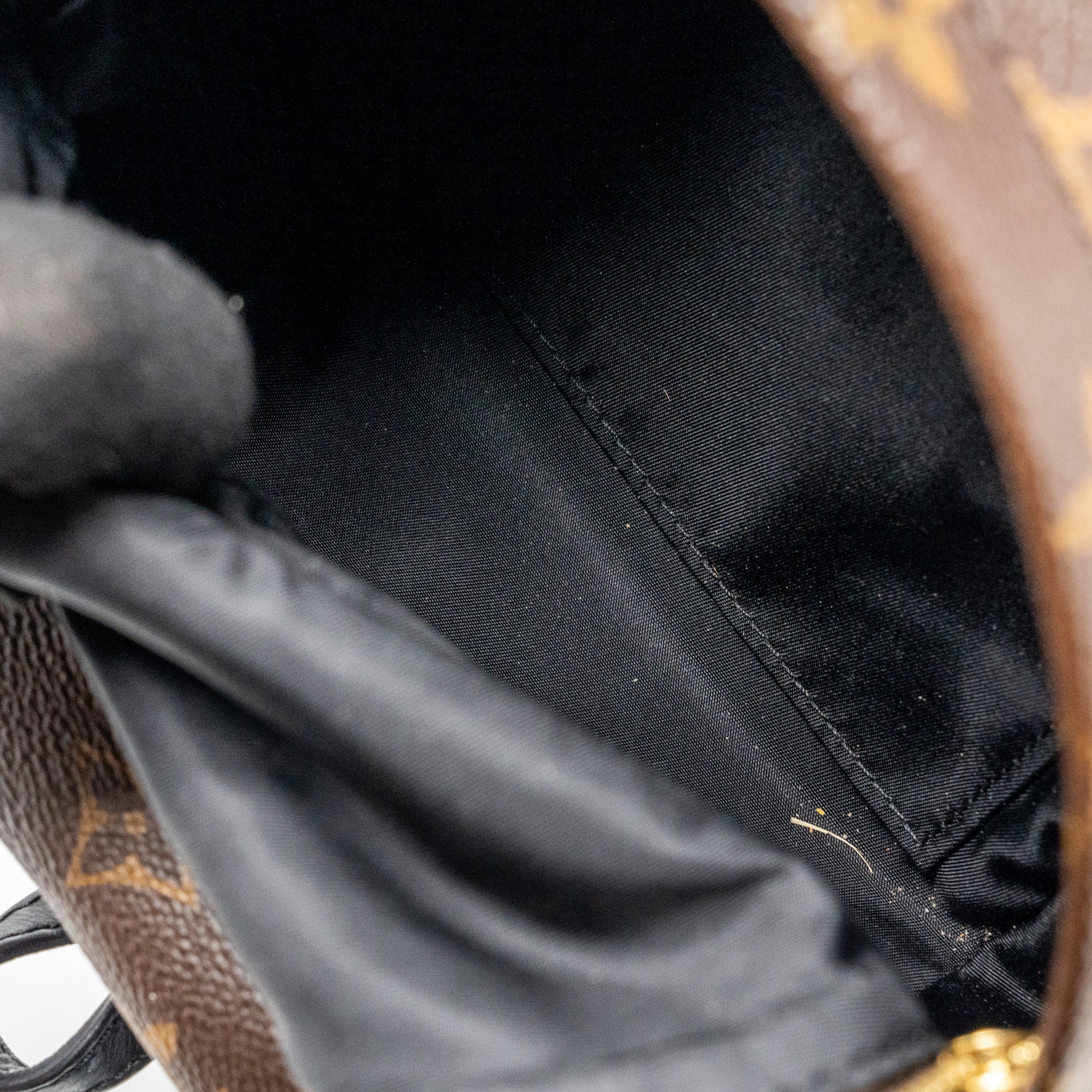 louis-vuitton-mini-palm-spring-backpack-monogram-canvas-ghw-6