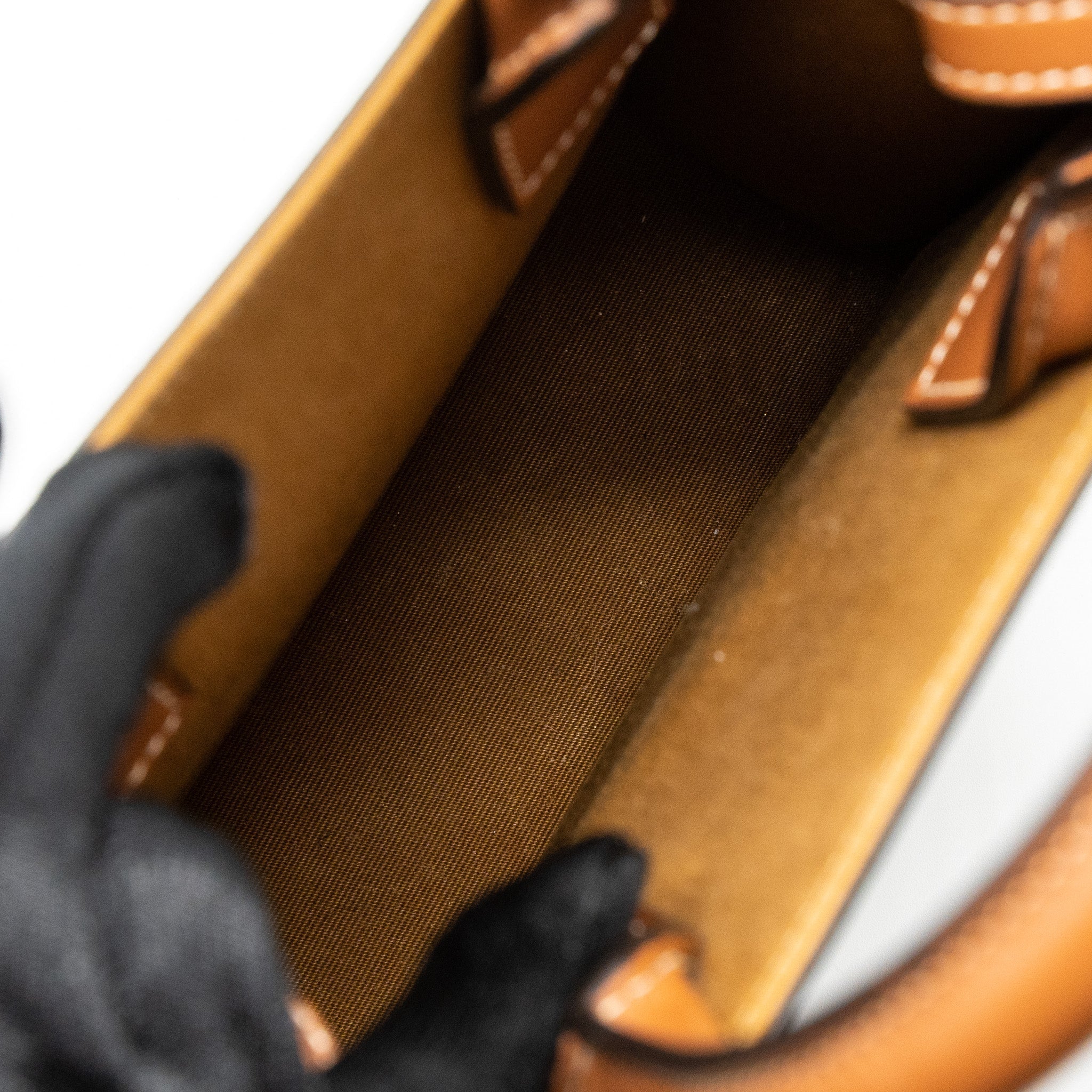 celine-mini-vertical-cabas-triomphe-canvas-brown-ghw