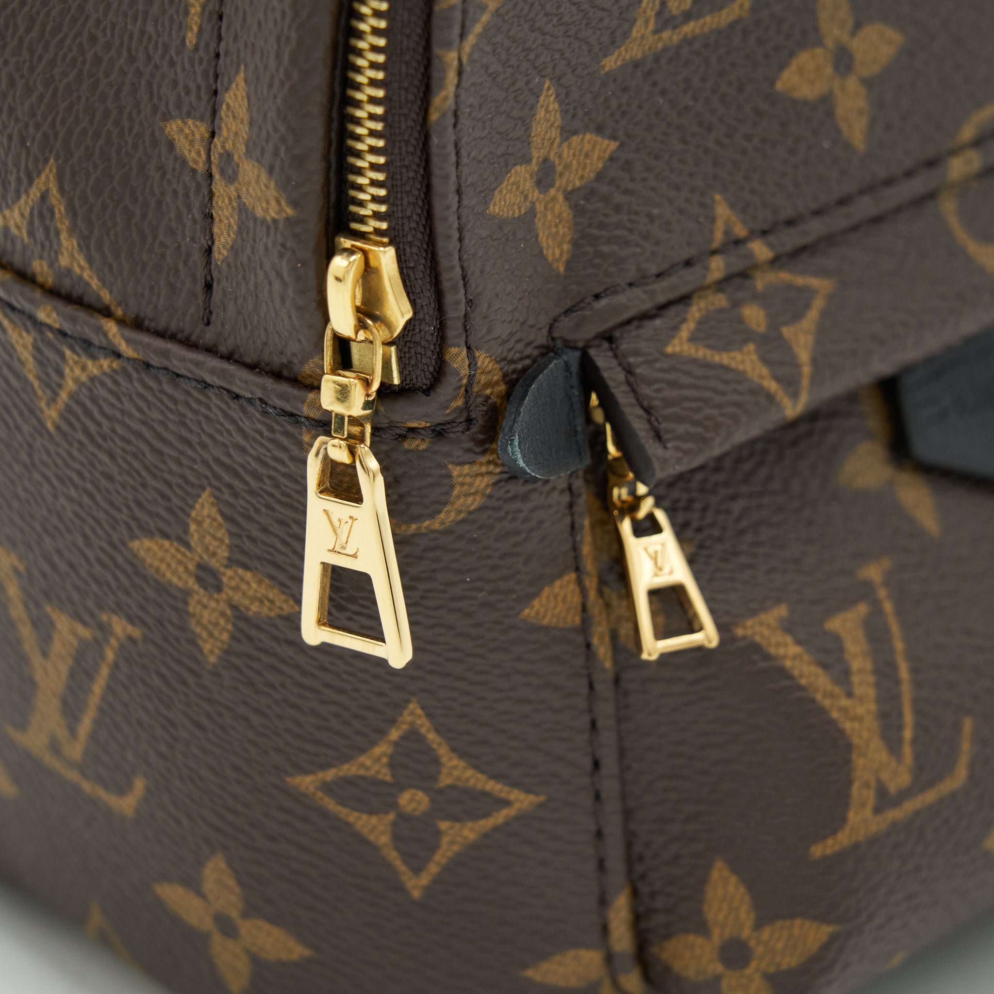 louis-vuitton-palm-springs-mini-backpack-monogram-canvas-new-zipper