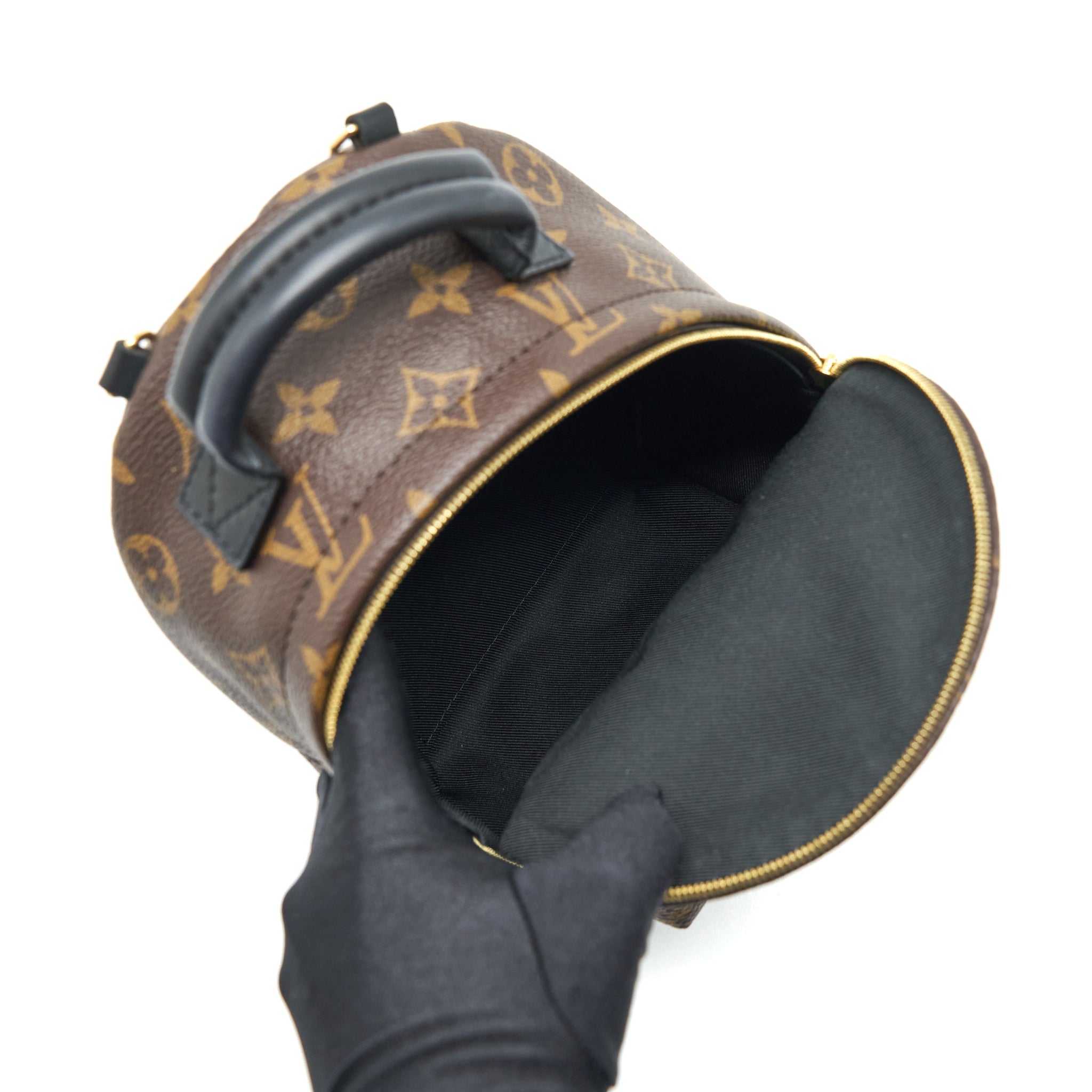 louis-vuitton-palm-springs-mini-backpack-monogram-canvas-new-zipper